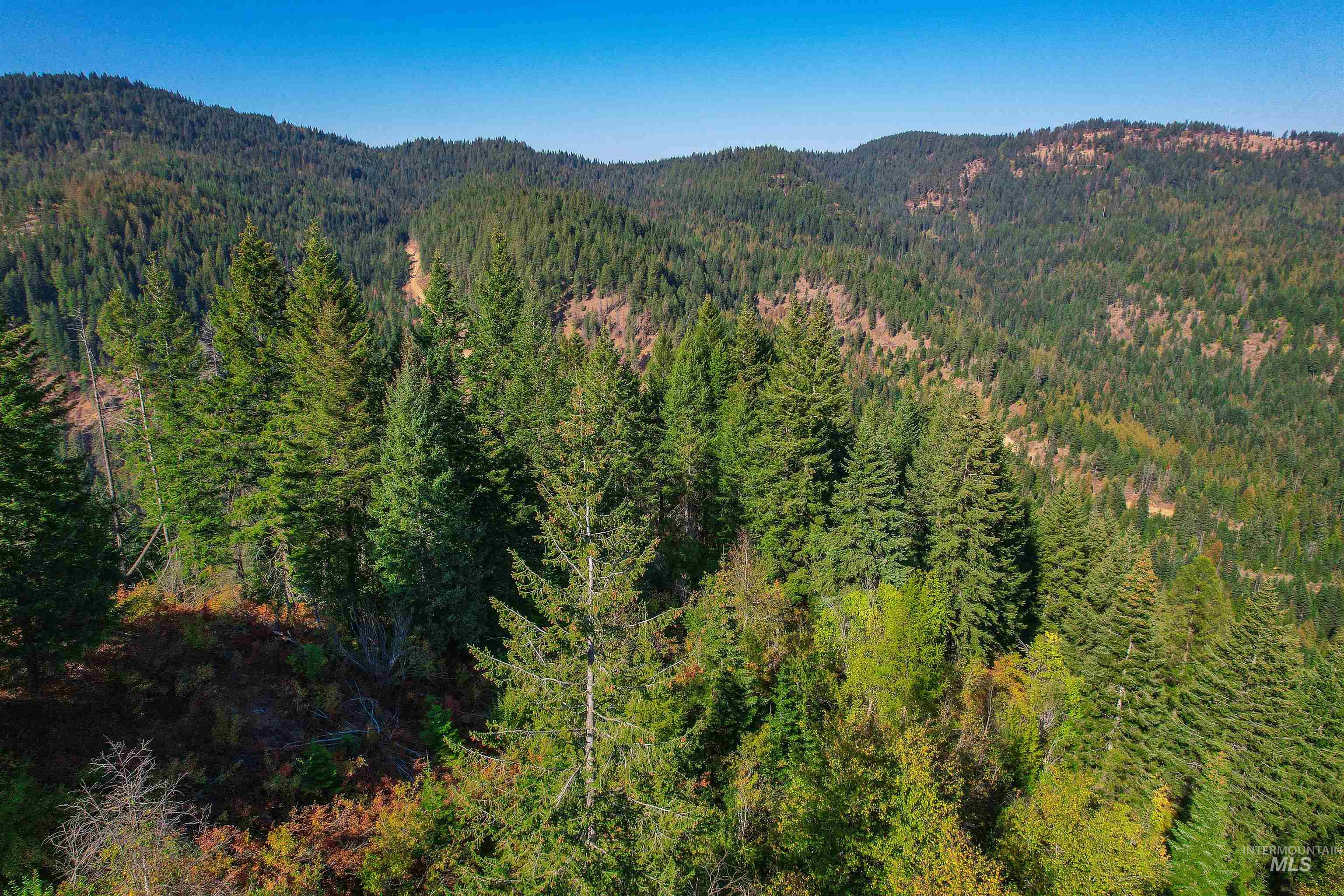 NKA Bodie Canyon Dr., Priest River, Idaho 83856, Land For Sale, Price $155,000, 98970714