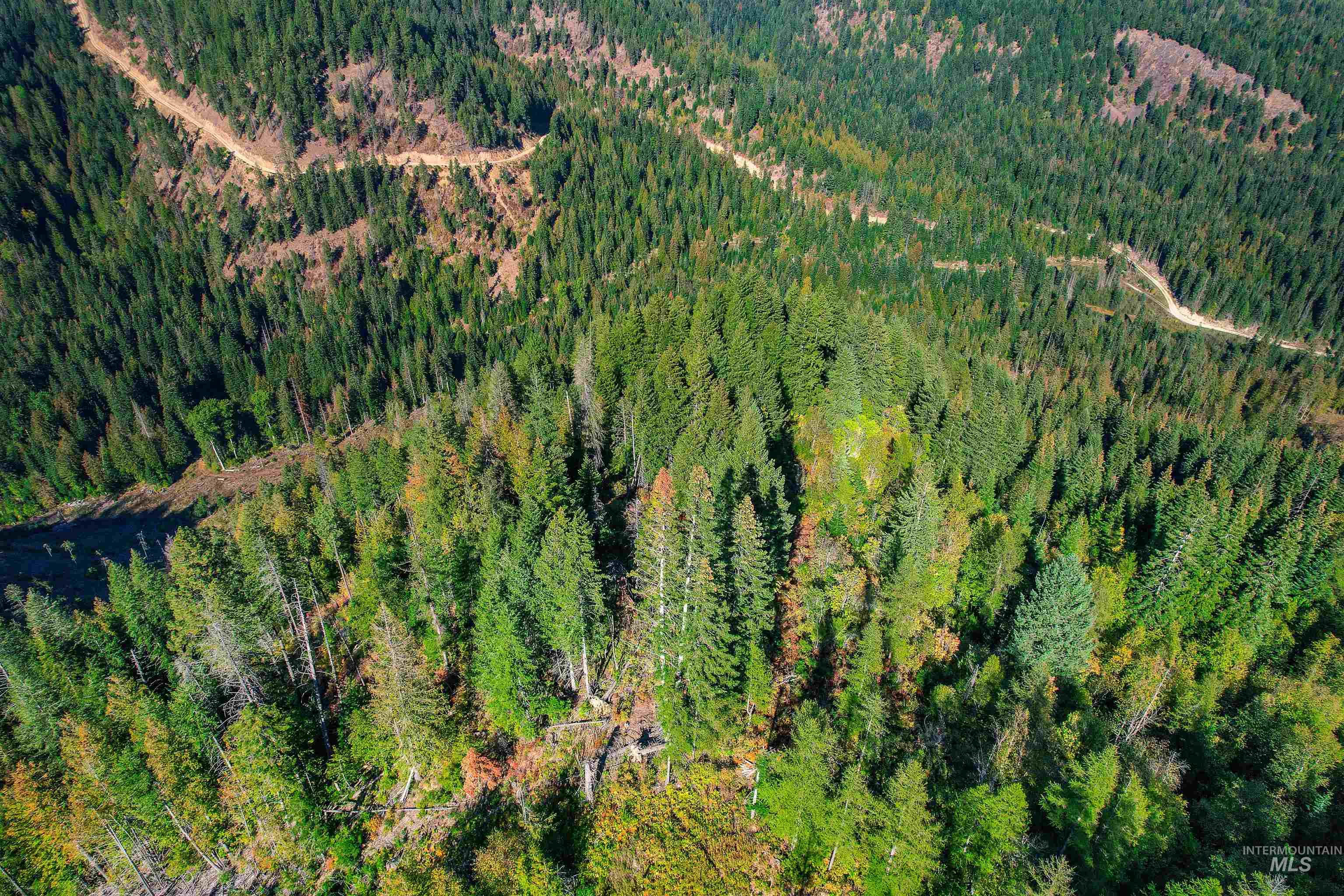 NKA Bodie Canyon Dr., Priest River, Idaho 83856, Land For Sale, Price $155,000, 98970714