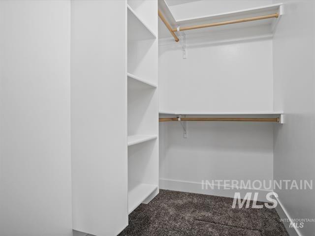 Walk in closet with dark colored carpet