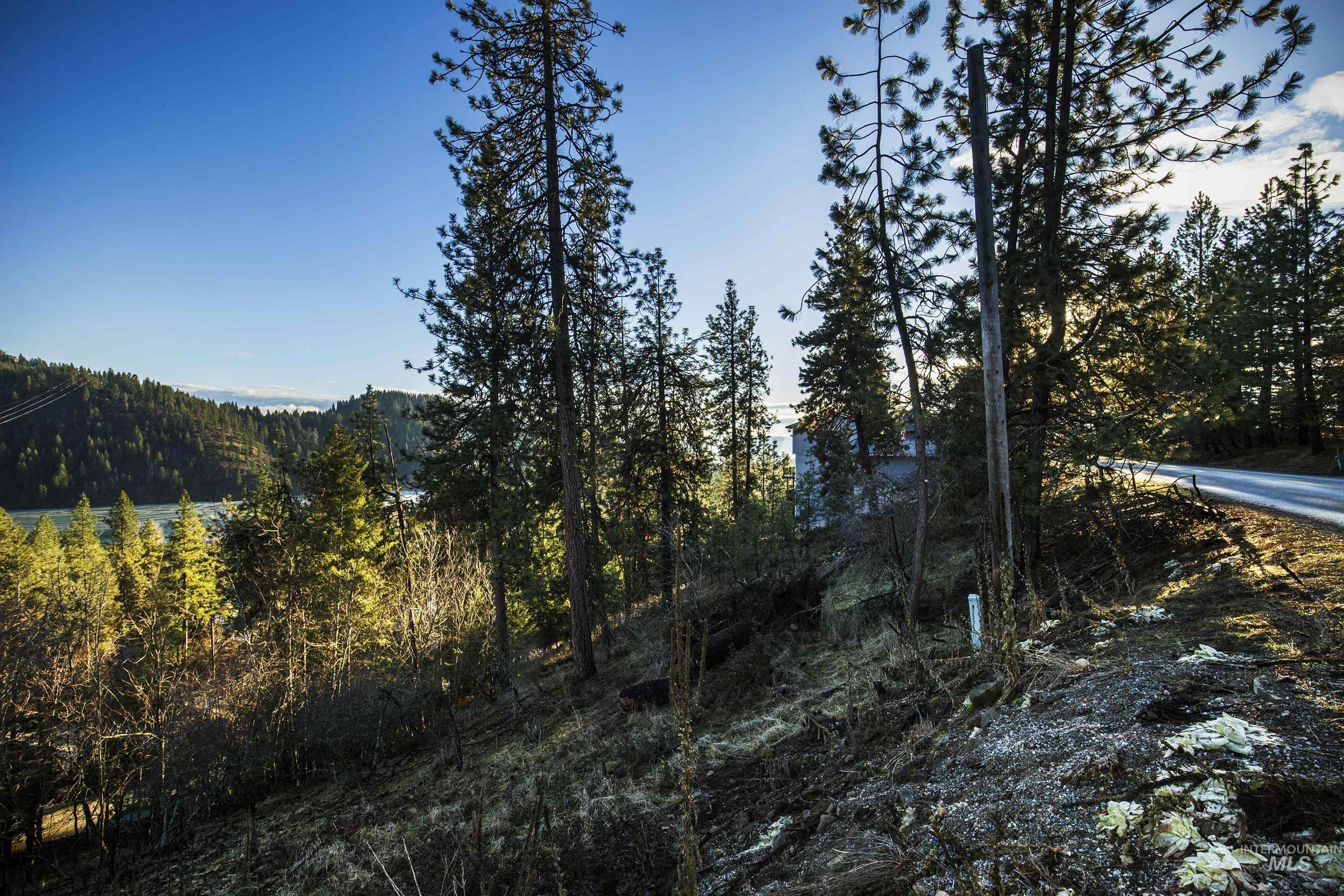 NNA E Fernan Hill Rd., Coeur d'Alene, Idaho 83814-0000, Land For Sale, Price $249,000, 98970719