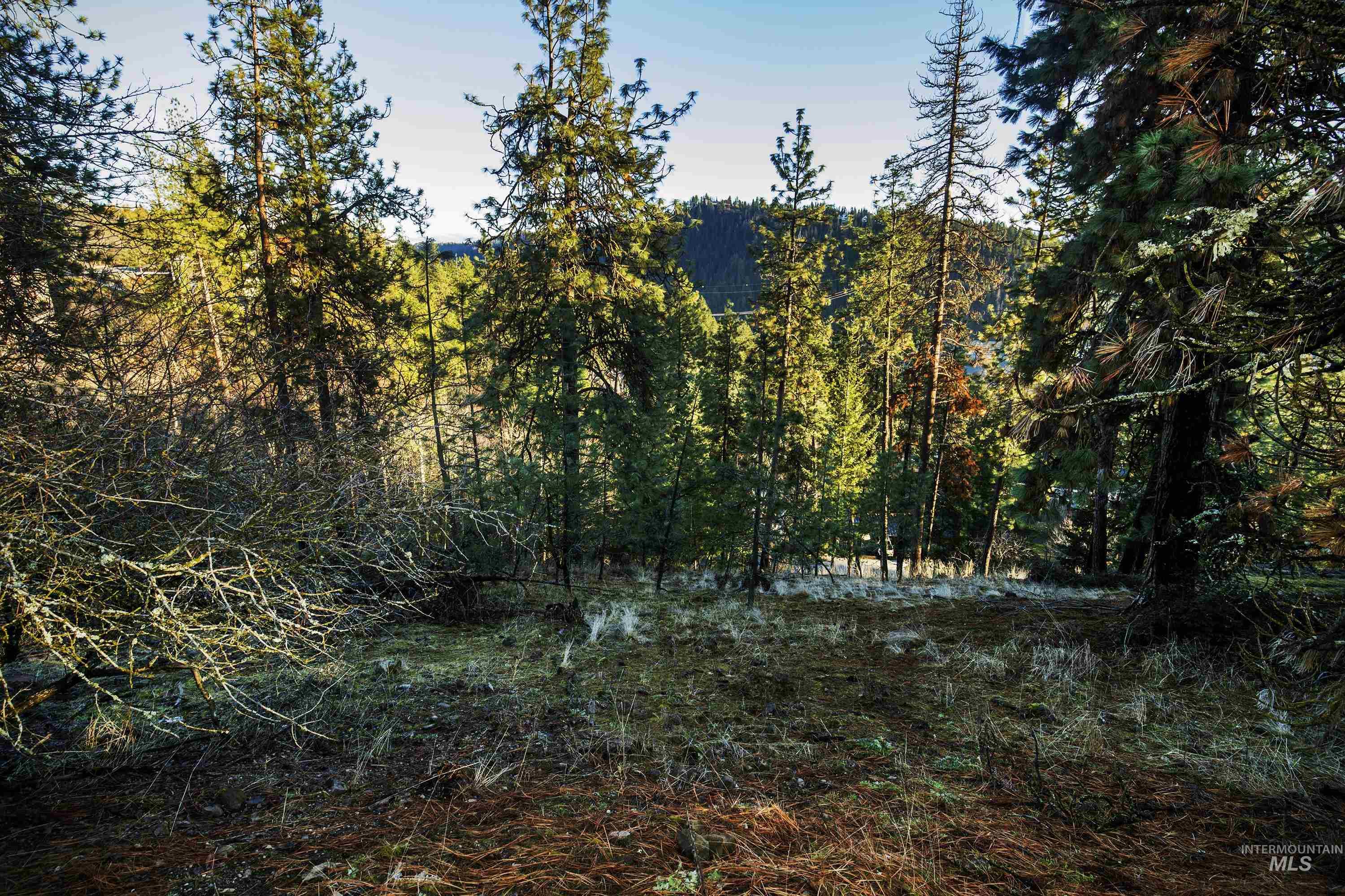 NNA E Fernan Hill Rd., Coeur d'Alene, Idaho 83814-0000, Land For Sale, Price $249,000, 98970719