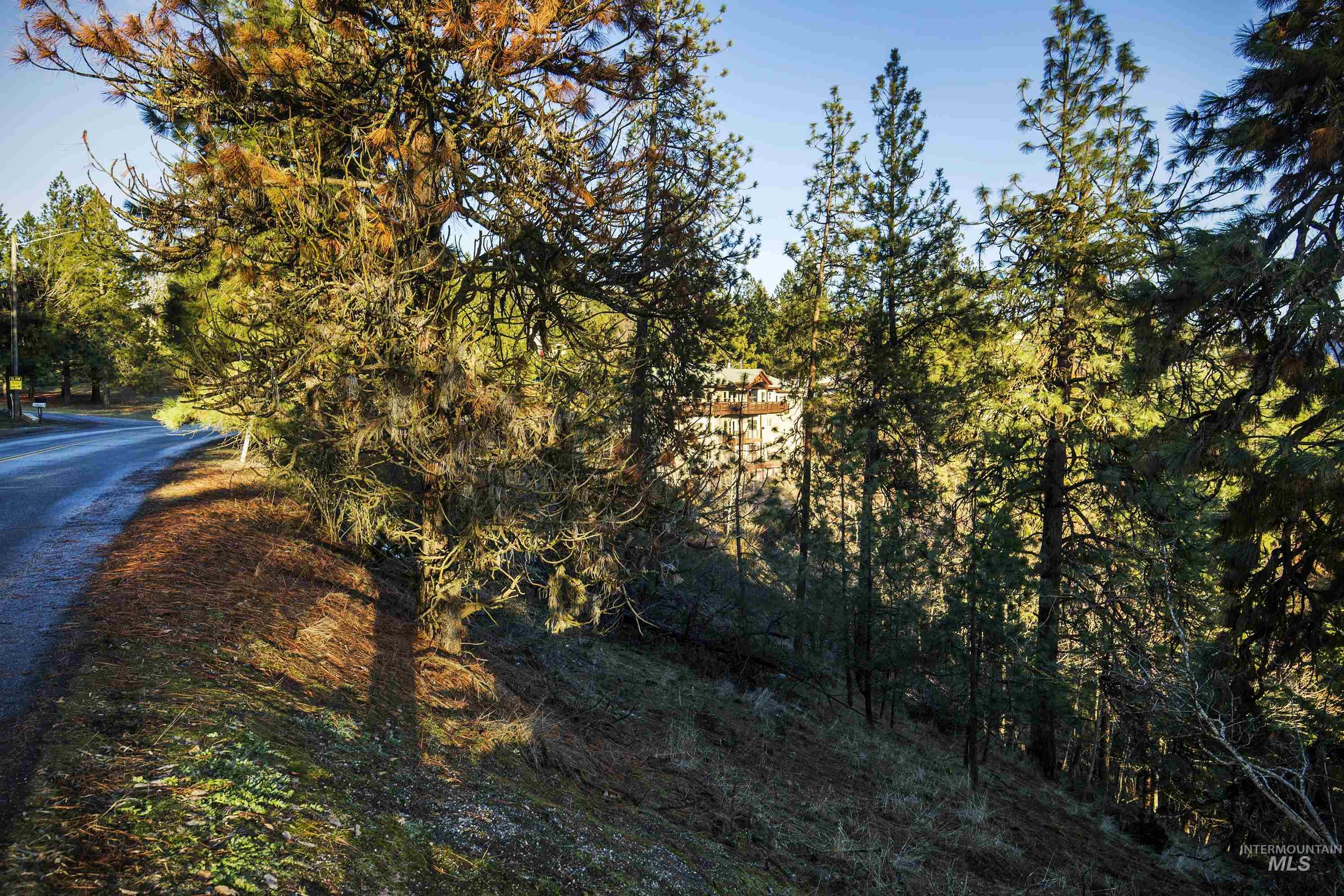 NNA E Fernan Hill Rd., Coeur d'Alene, Idaho 83814-0000, Land For Sale, Price $249,000, 98970719
