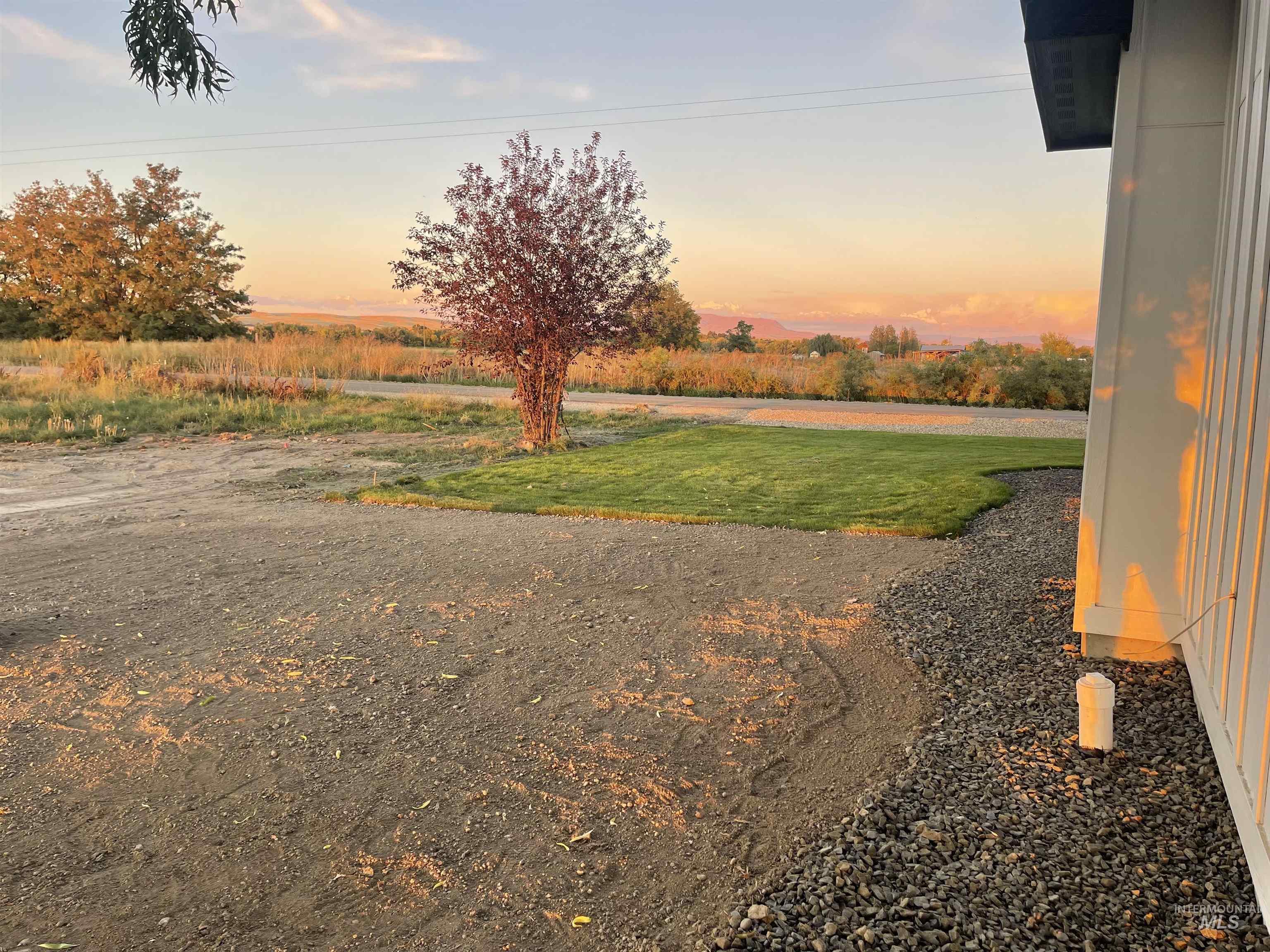 Yard at dusk featuring a yard