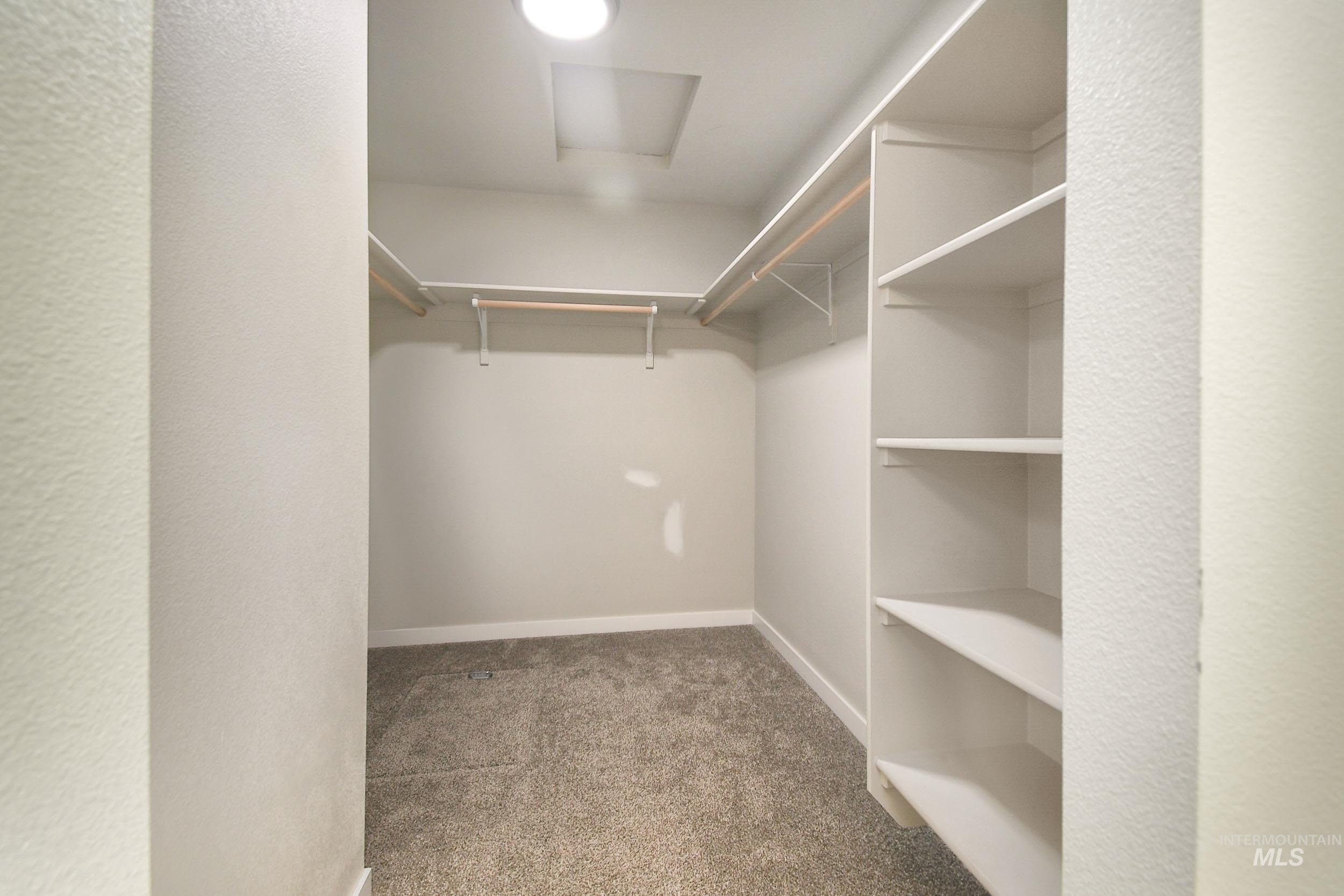 Walk in closet featuring light colored carpet