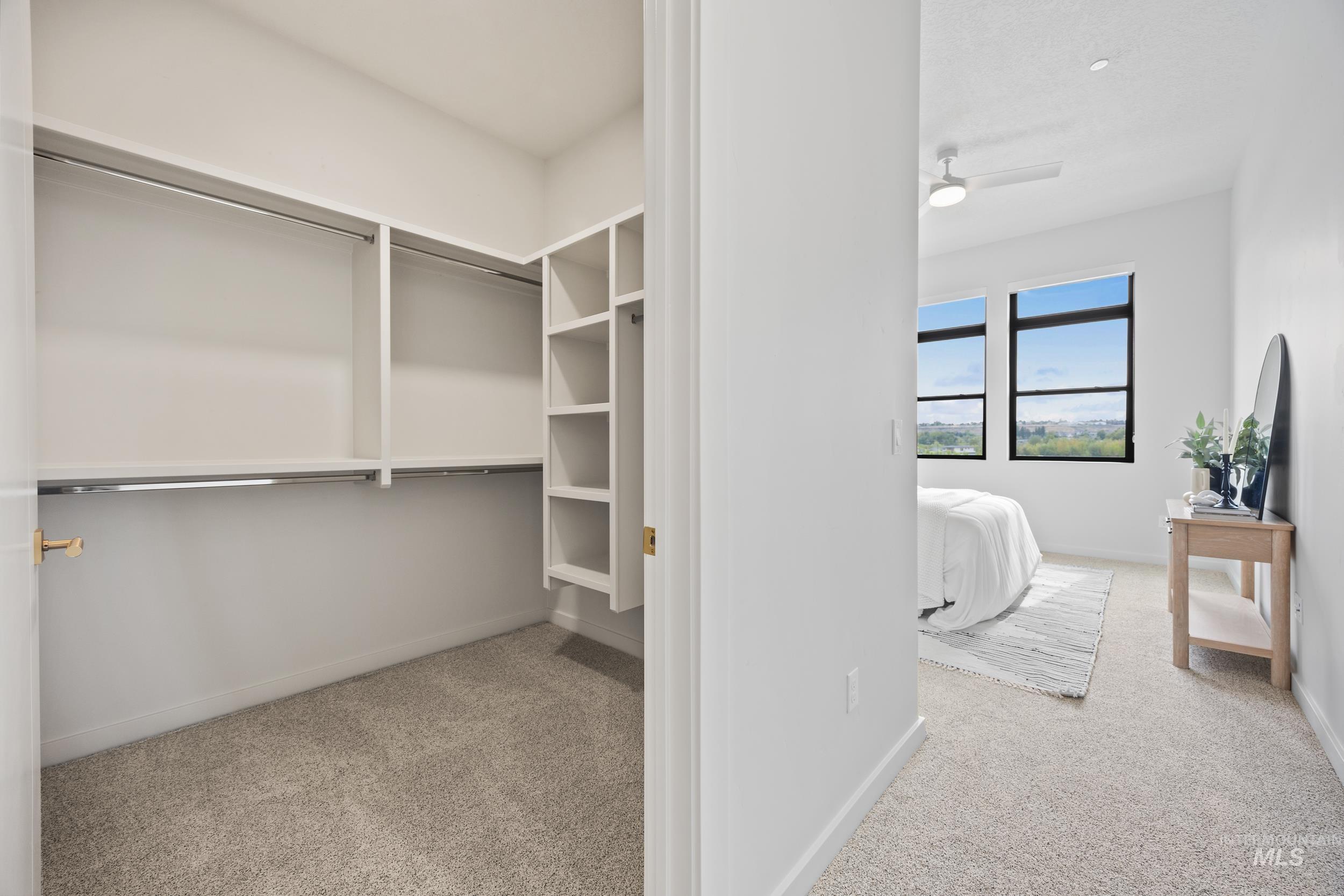 Spacious closet with light carpet