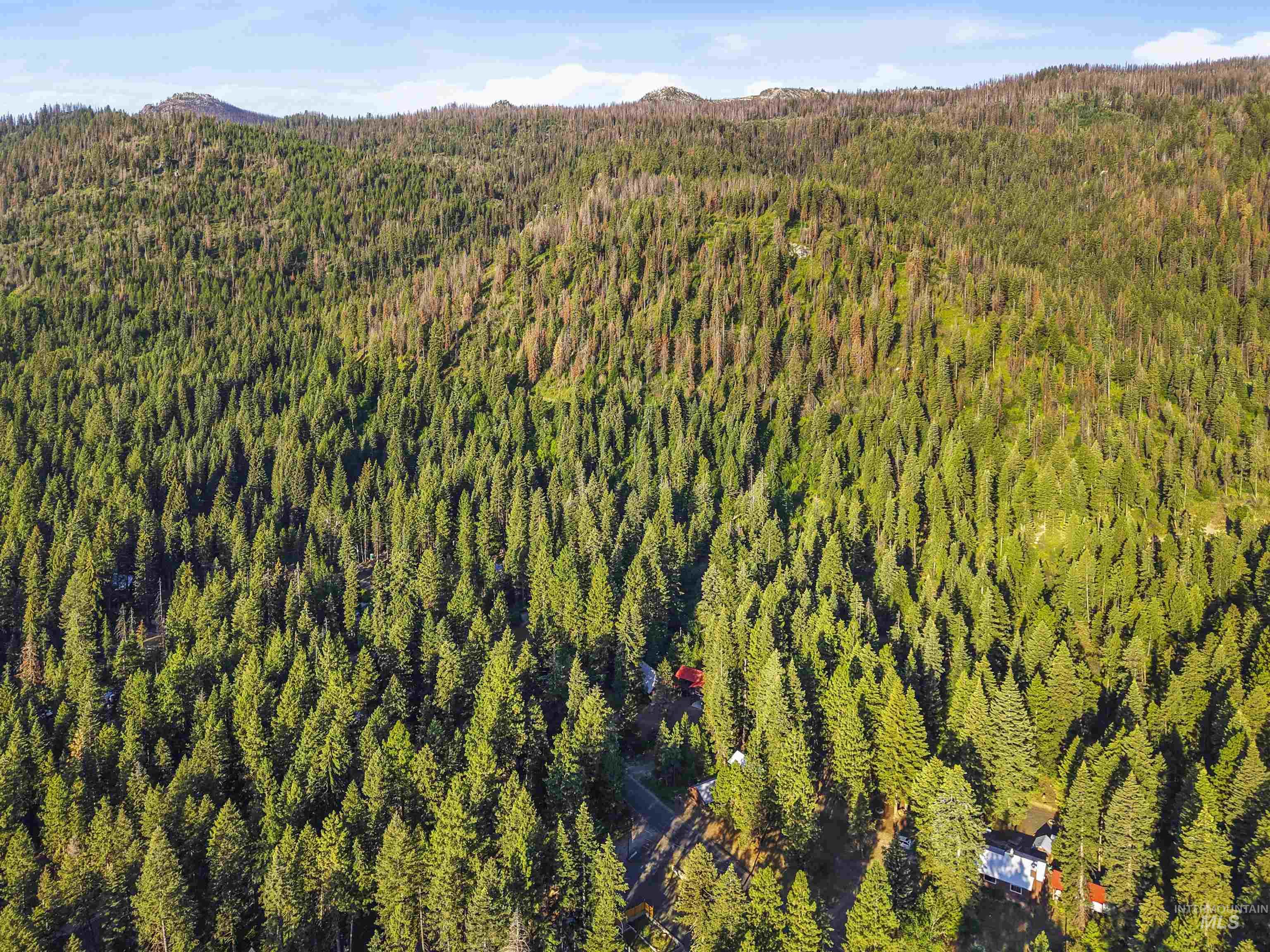 605 West Mountain Road, Cascade, Idaho 83611, 3 Bedrooms, 2 Bathrooms, Residential For Sale, Price $775,000,MLS 98970743