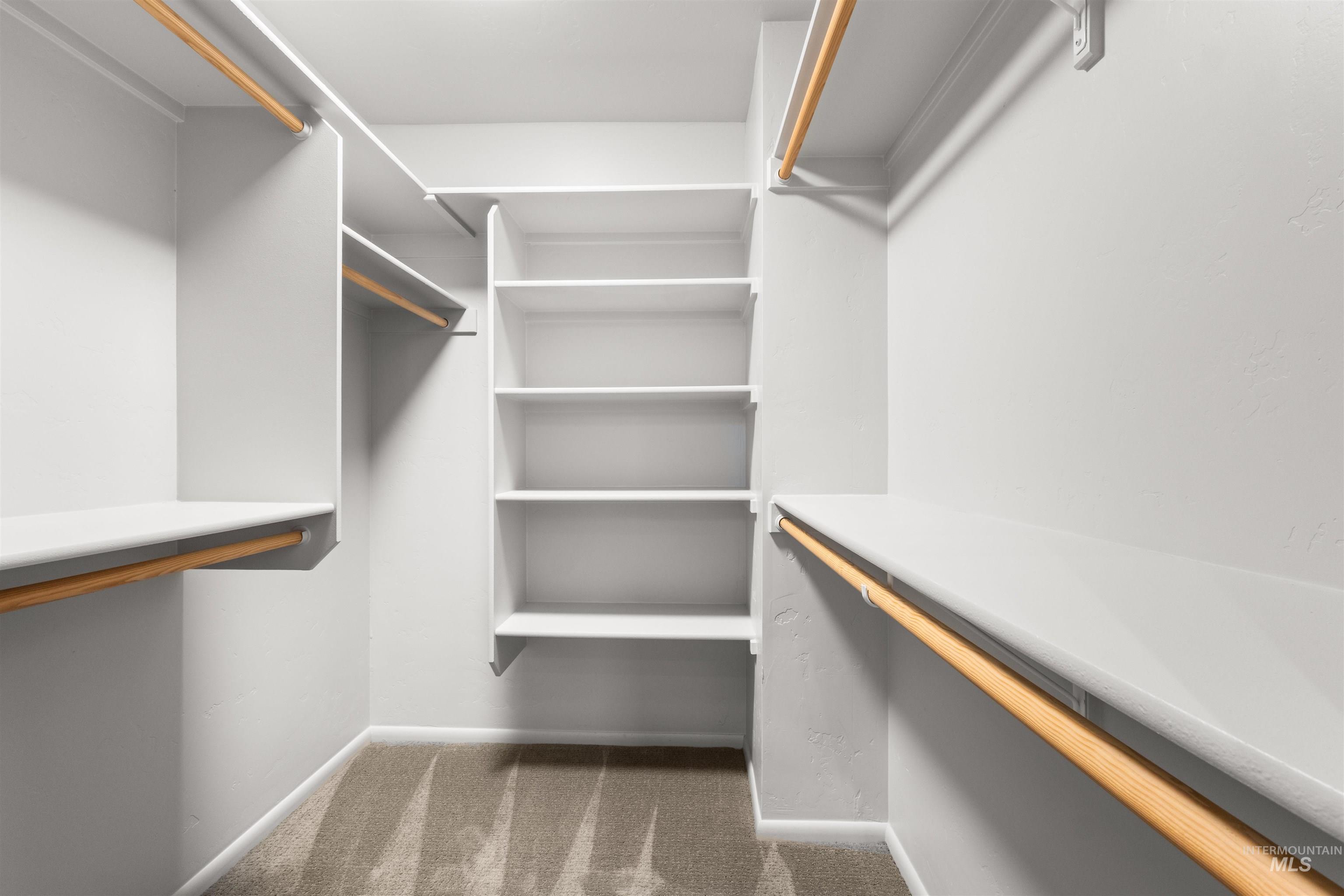 Spacious closet featuring built-in shelving and carpet