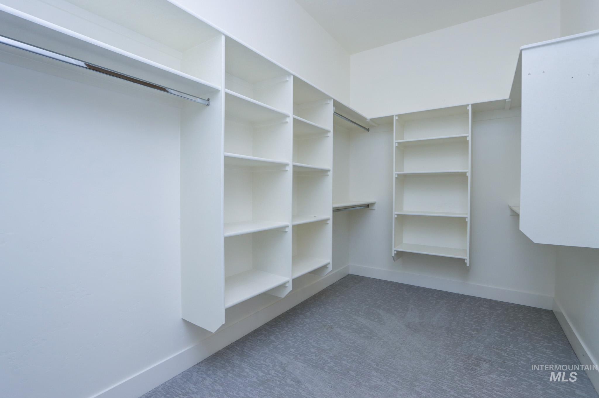 Spacious closet with dark colored carpet