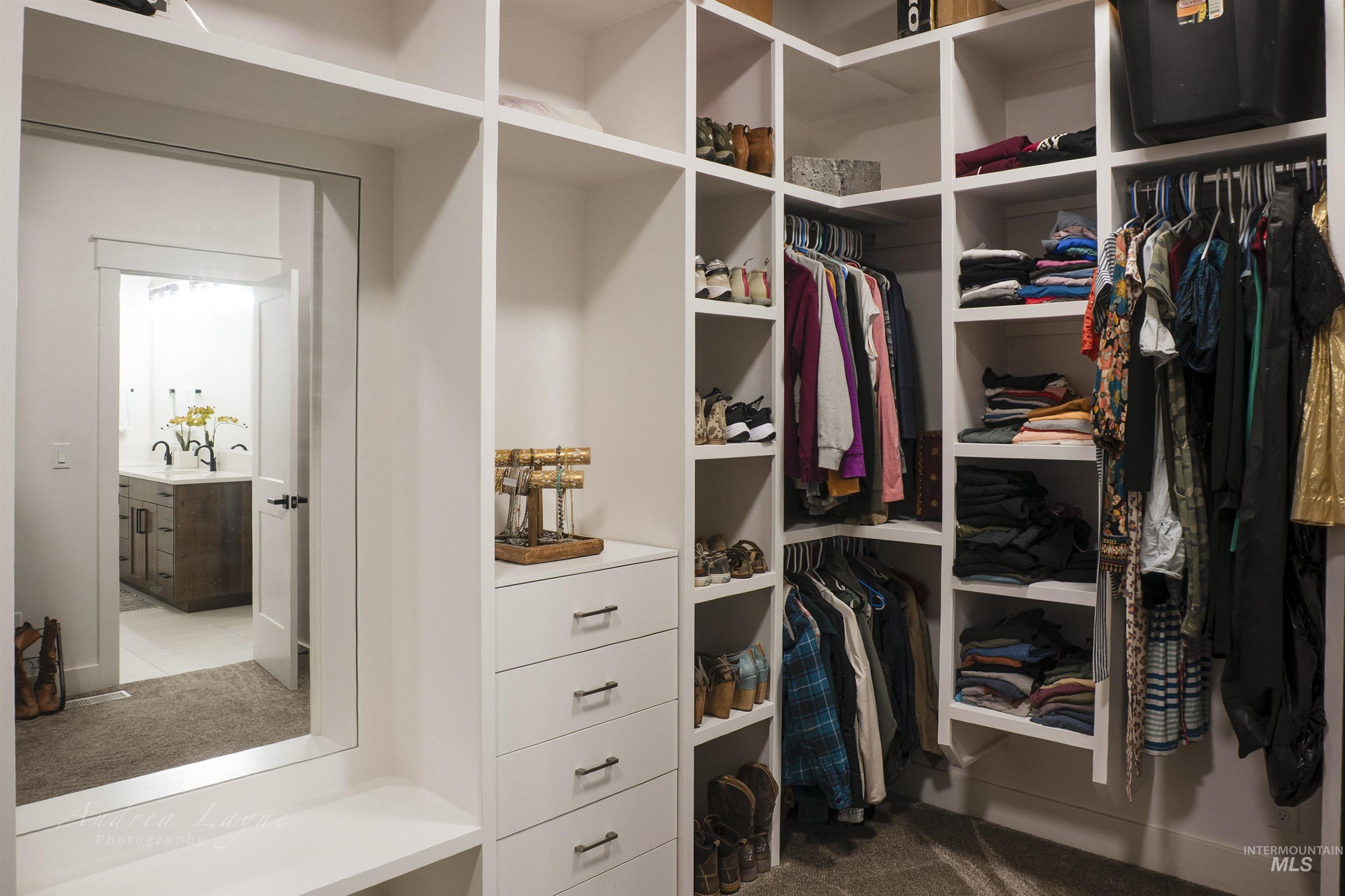 Spacious closet with dark colored carpet