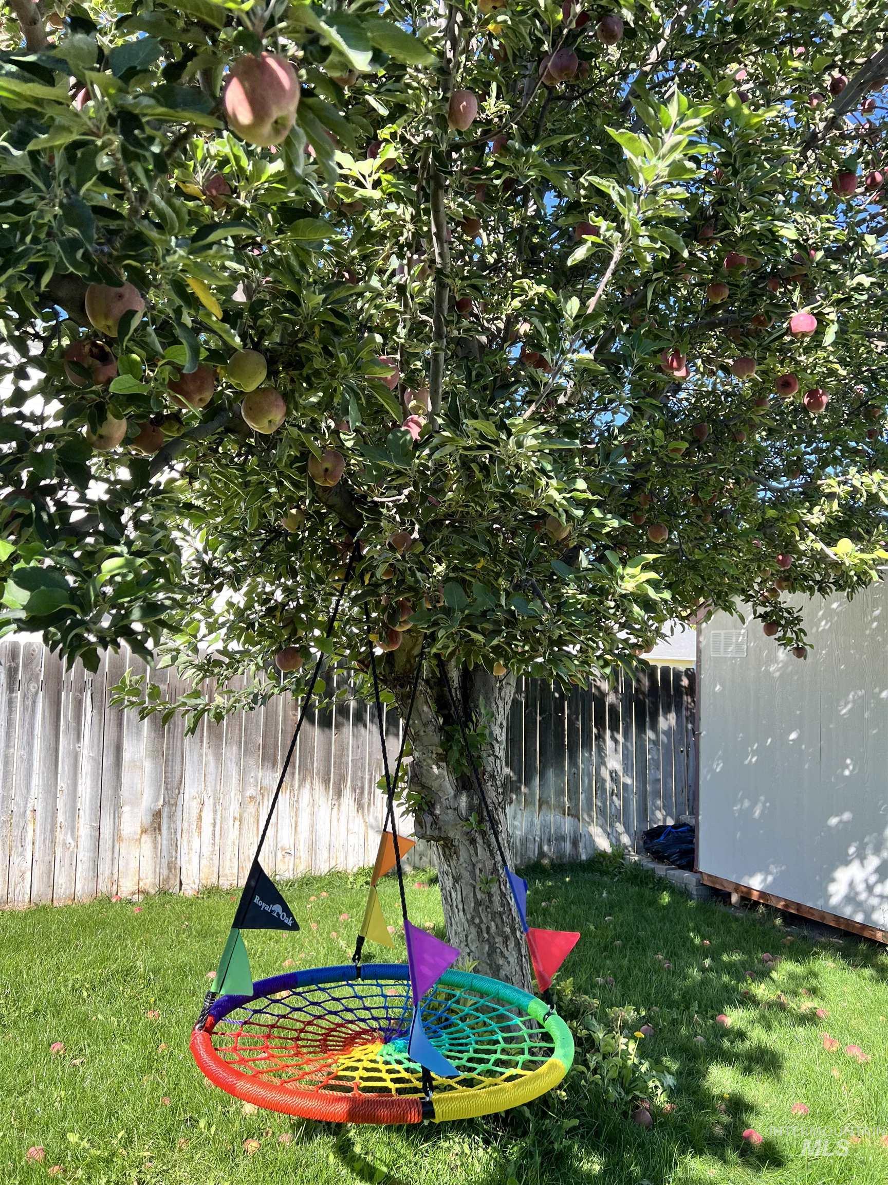 View of fenced backyard