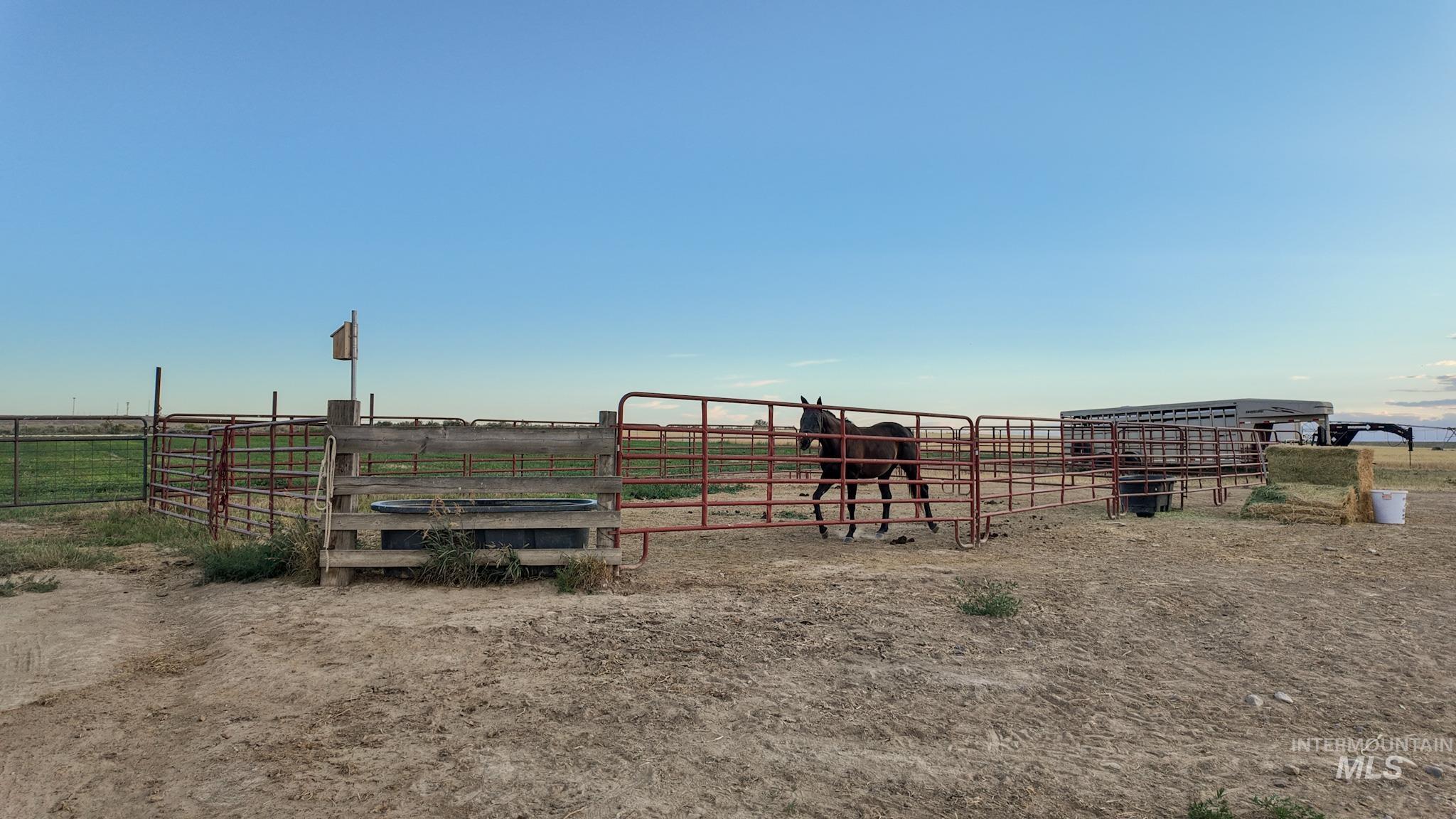 3139 N 2900 E, Twin Falls, Idaho 83301, 3 Bedrooms, 2.5 Bathrooms, Residential For Sale, Price $1,180,000,MLS 98970828