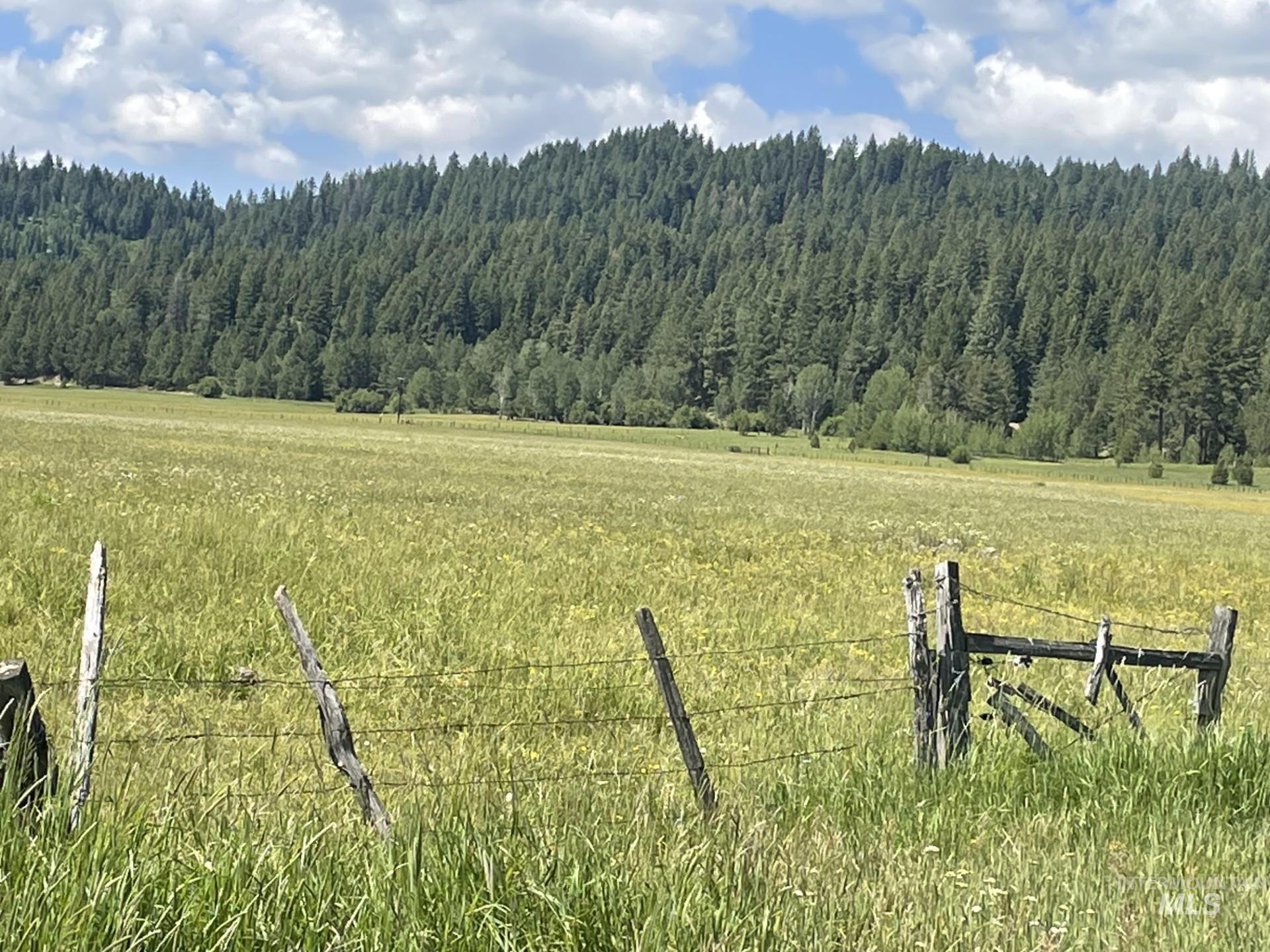 View of yard featuring a forest view and a view of countryside