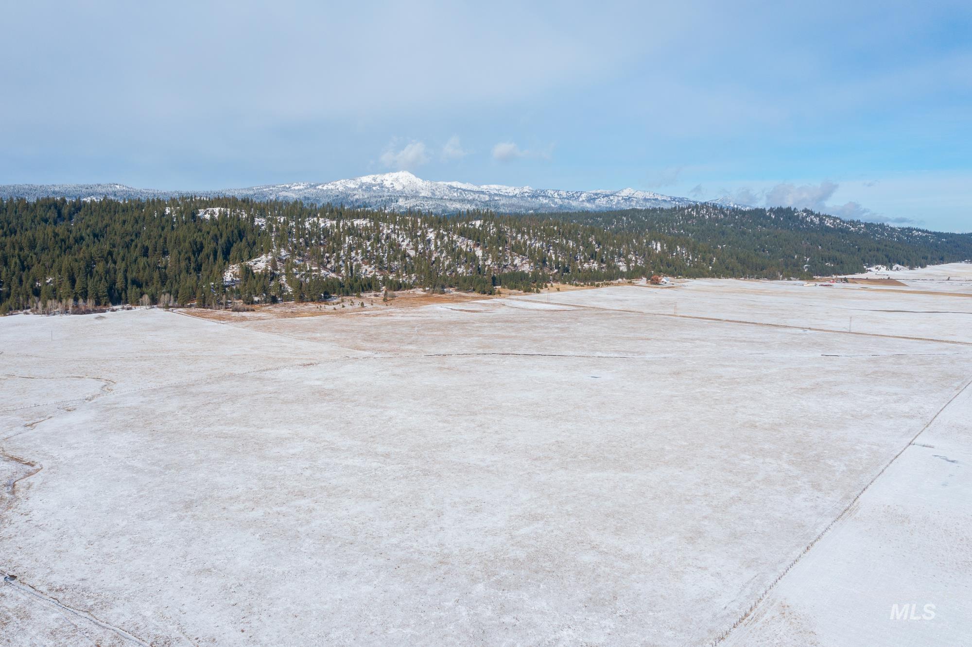 163.21 AC Gray Lane, Cascade, Idaho 83611, Land For Sale, Price $649,900, 98970833