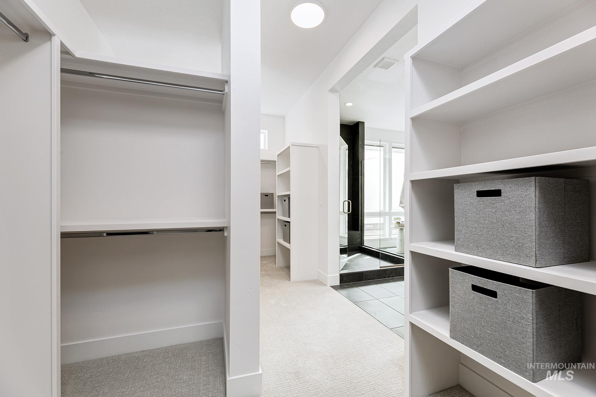 Spacious closet with light colored carpet