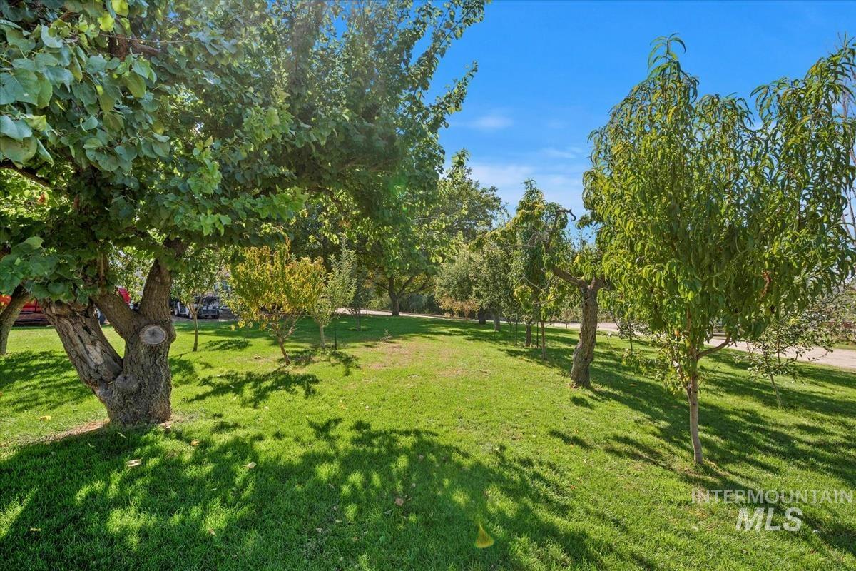 15750 Parkview Dr., Wilder, Idaho 83676, 4 Bedrooms, 2 Bathrooms, Residential For Sale, Price $1,025,000,MLS 98970842