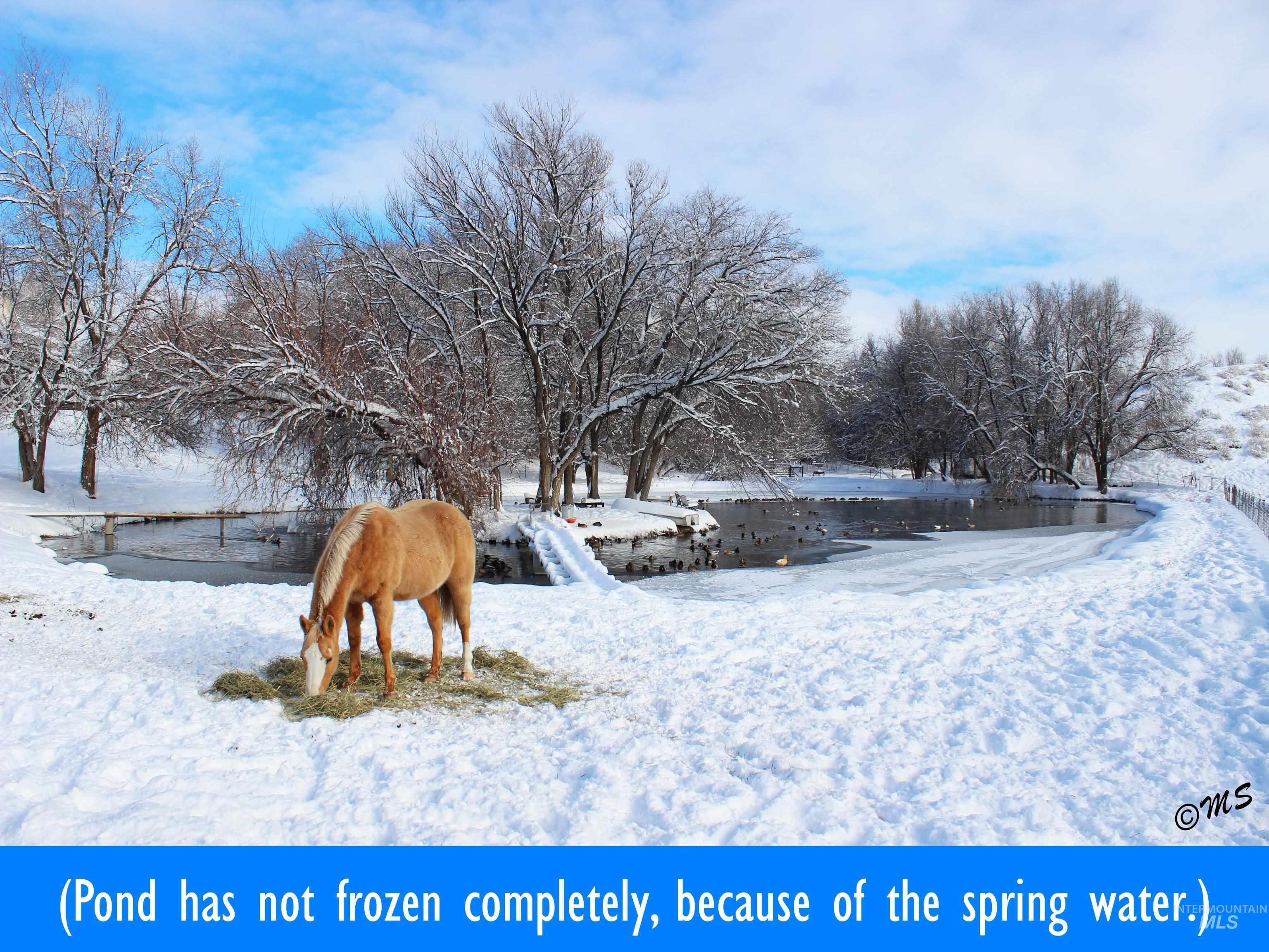 15750 Parkview Dr., Wilder, Idaho 83676, 4 Bedrooms, 2 Bathrooms, Residential For Sale, Price $1,100,000,MLS 98970842