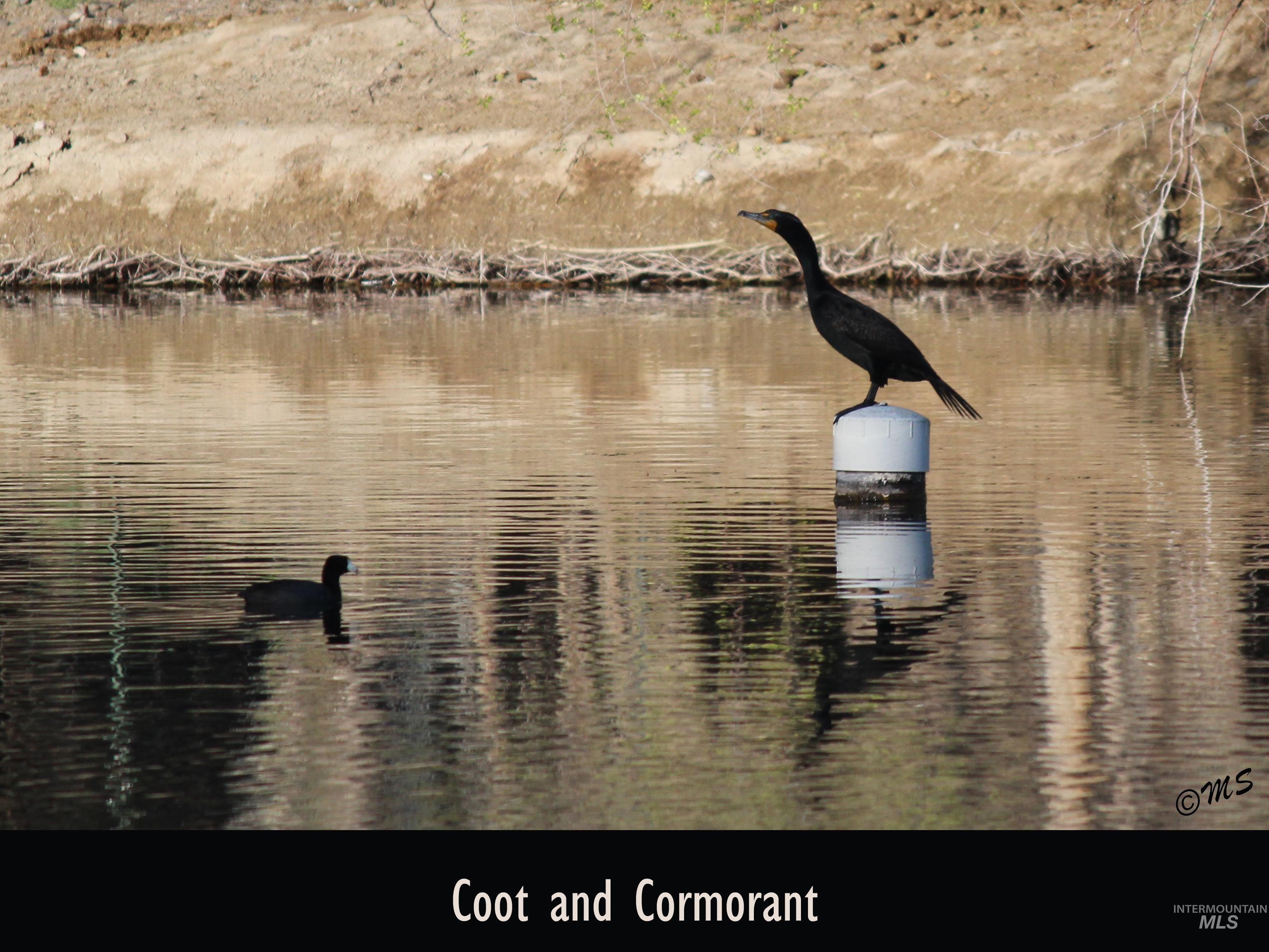 15750 Parkview Dr., Wilder, Idaho 83676, 4 Bedrooms, 2 Bathrooms, Residential For Sale, Price $1,100,000,MLS 98970842