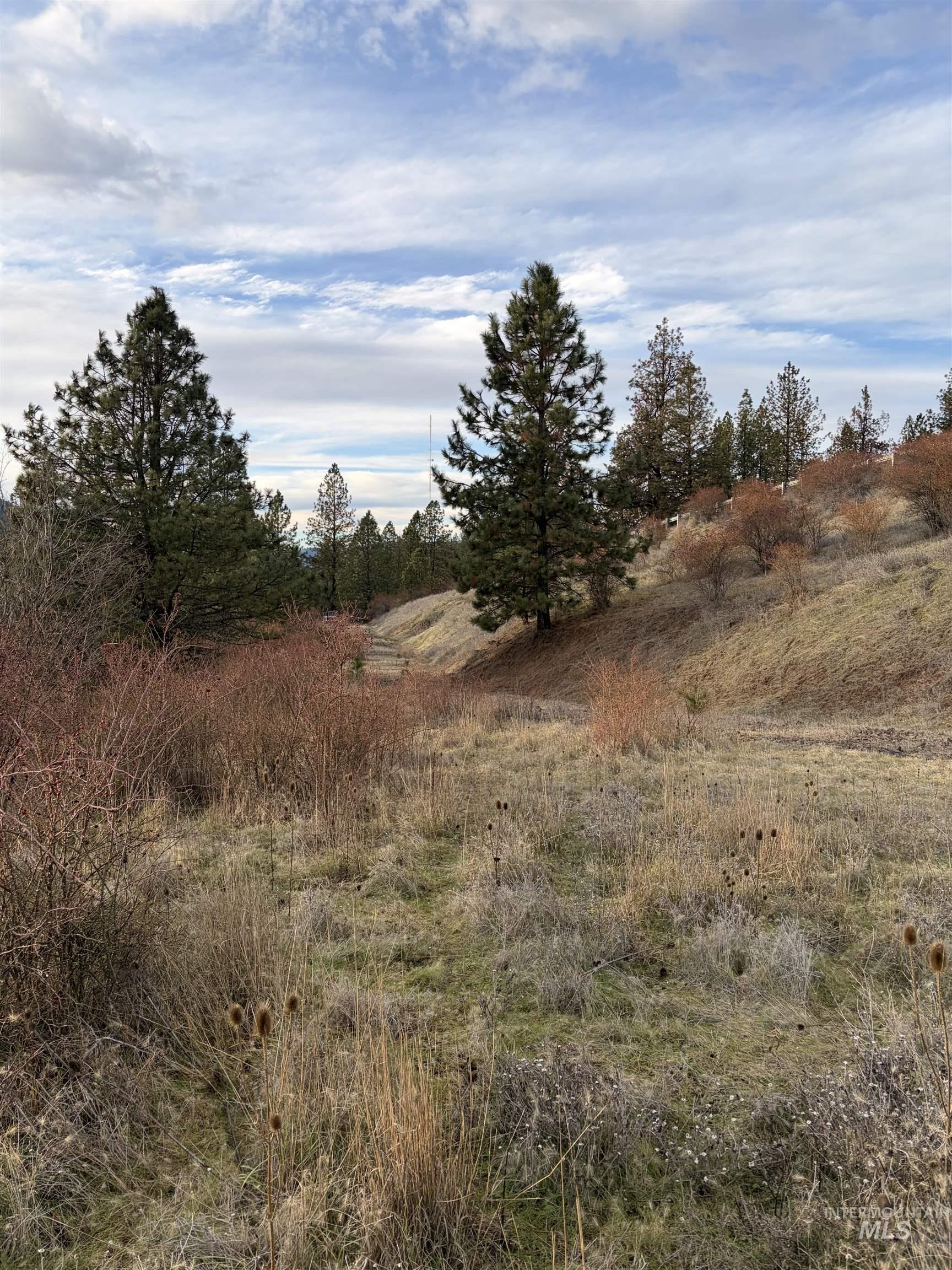 View of undeveloped land