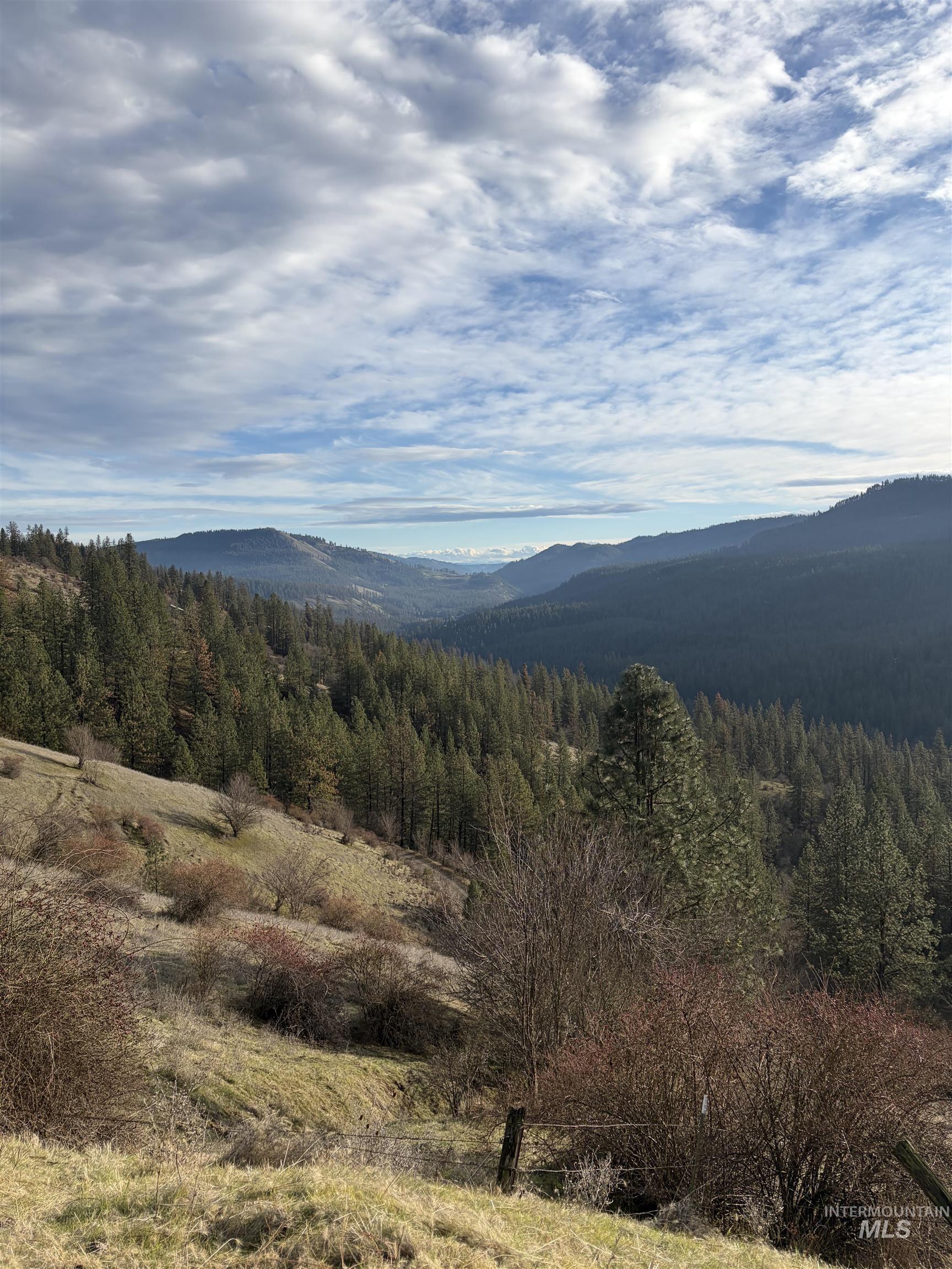 View of mountain backdrop with a forest