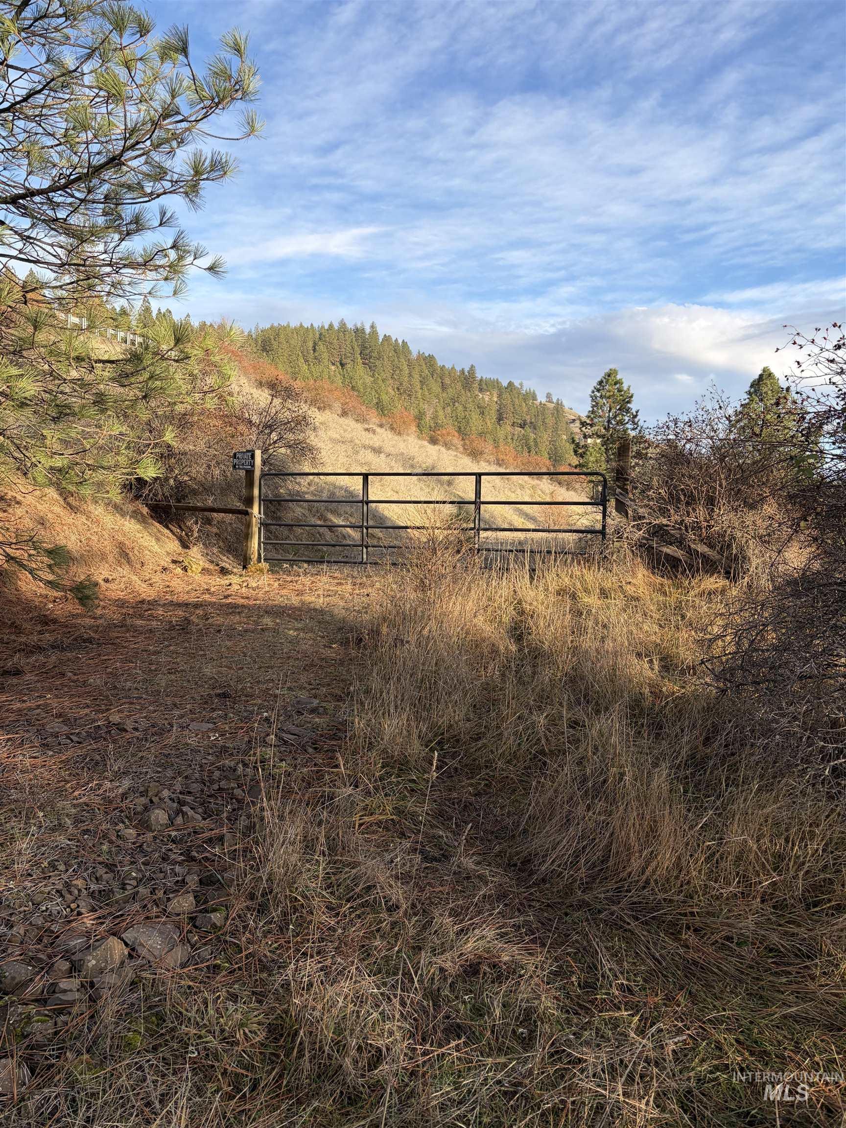 View of yard featuring a wooded view