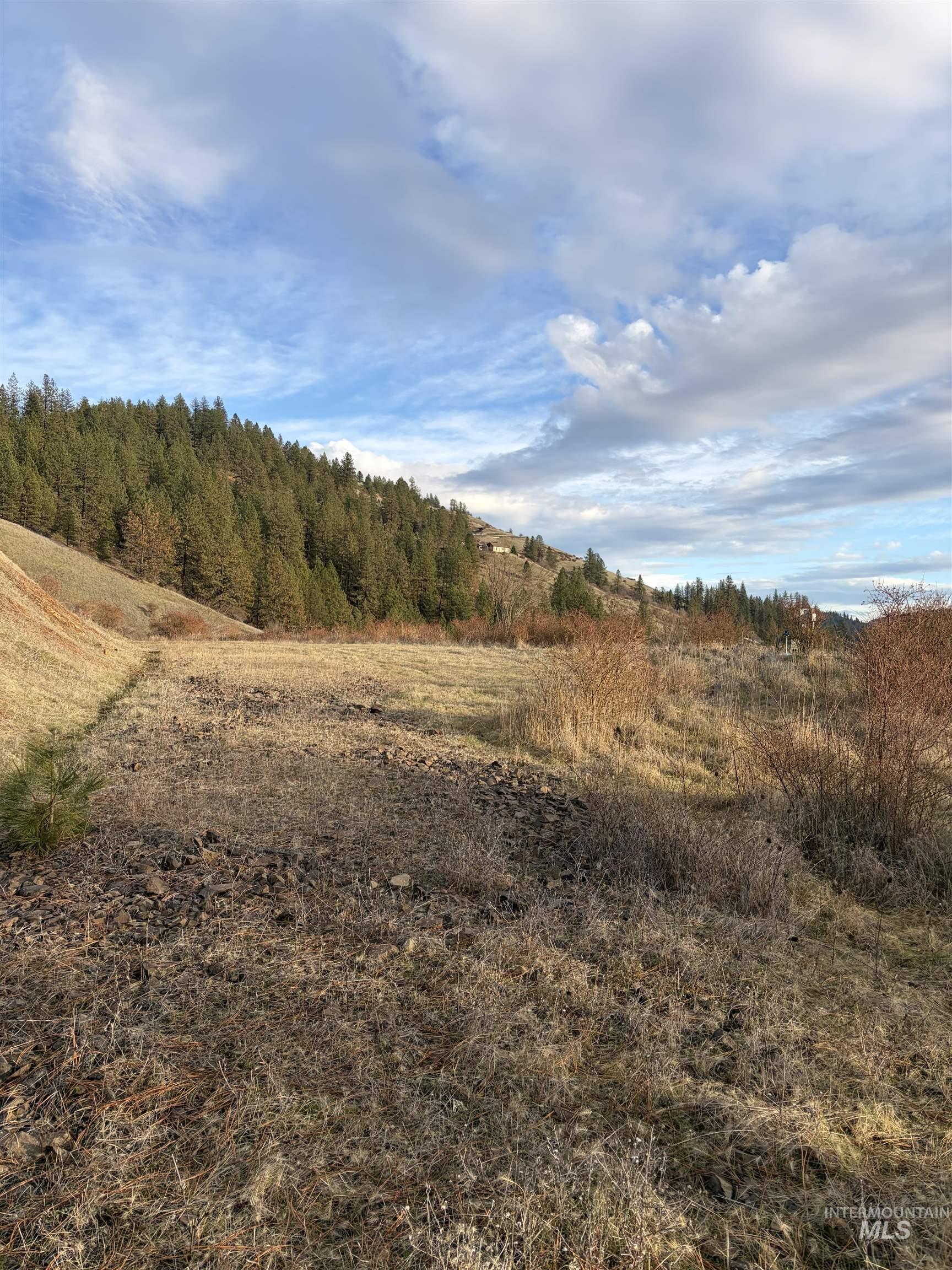 View of tree filled area featuring a view of rural / pastoral area