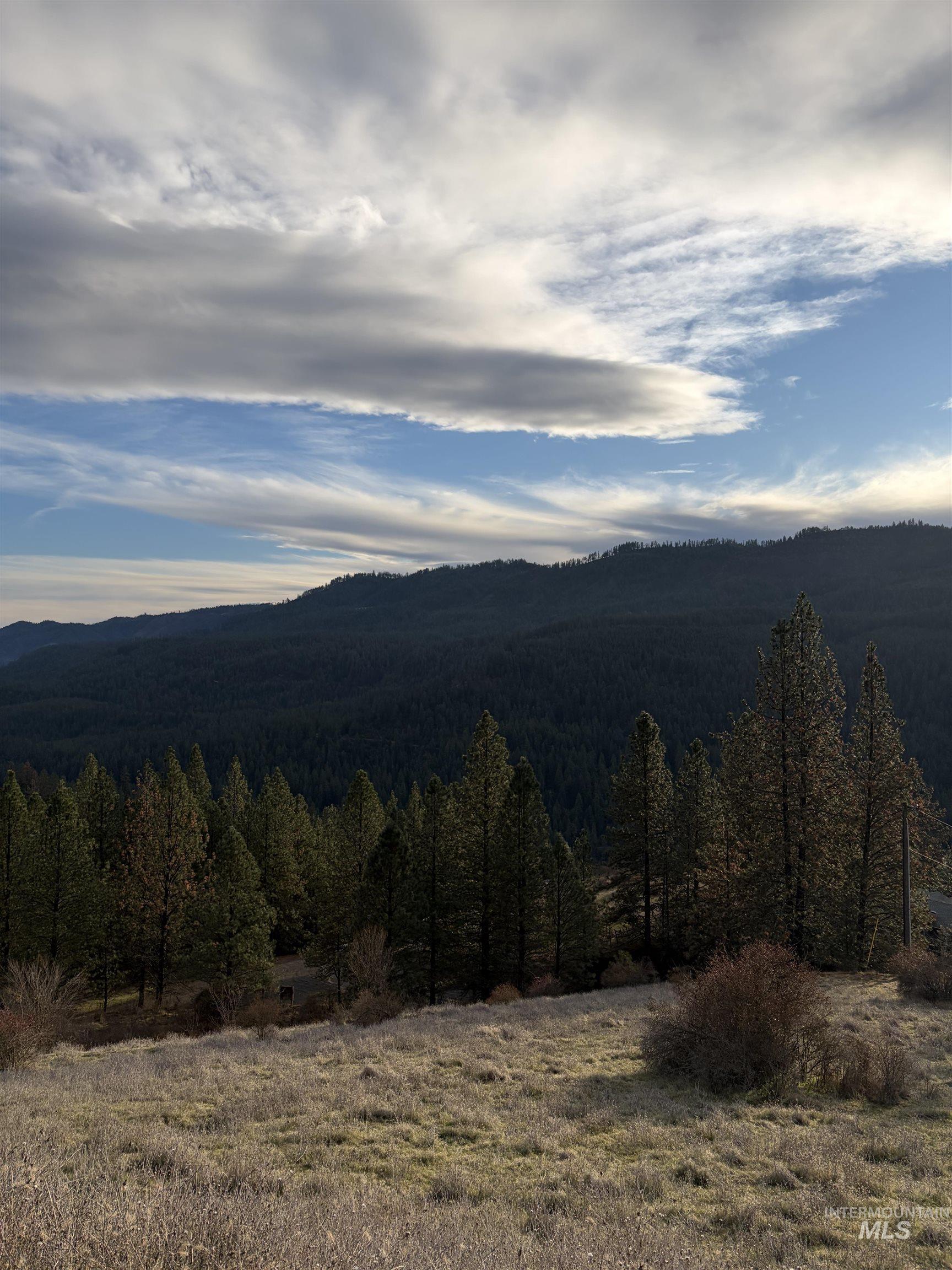 Mountain view featuring a heavily wooded area