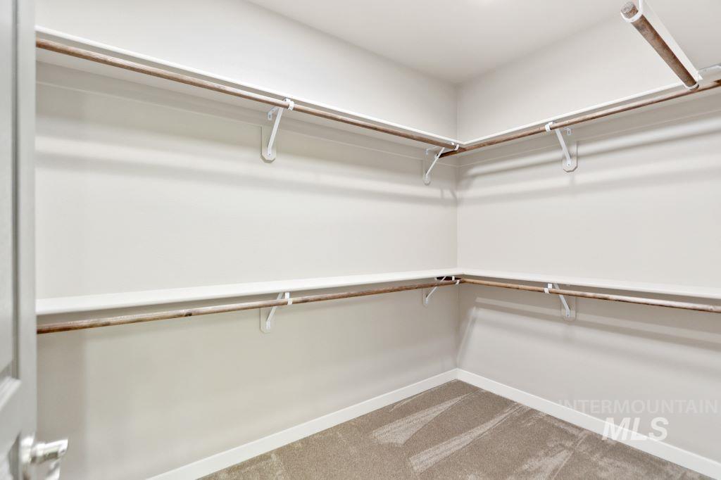 Walk in closet with light colored carpet
