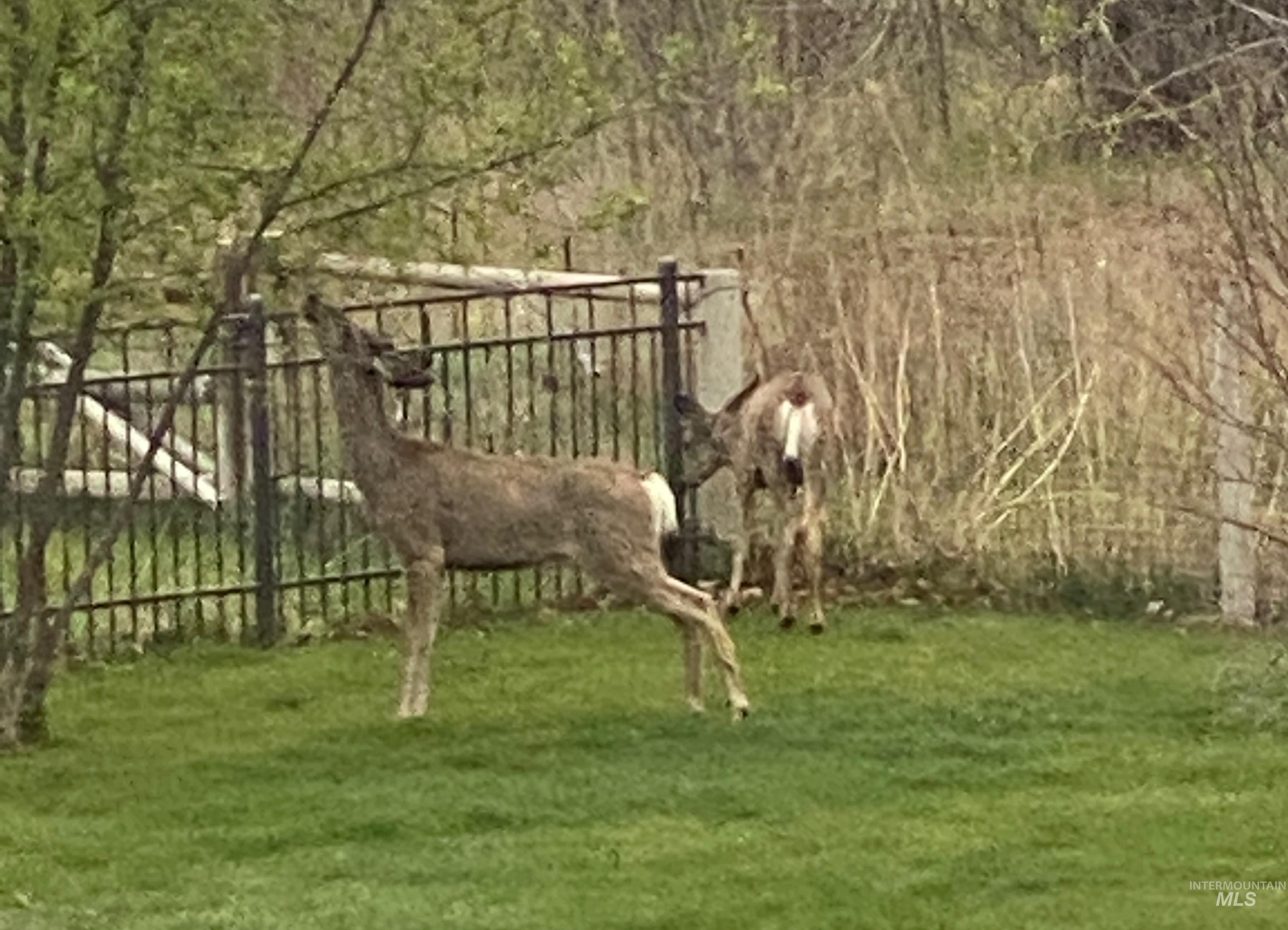 8177 N N Stonebriar Lane, Meridian, Idaho 83646, 5 Bedrooms, 4.5 Bathrooms, Residential For Sale, Price $4,288,000,MLS 98970862