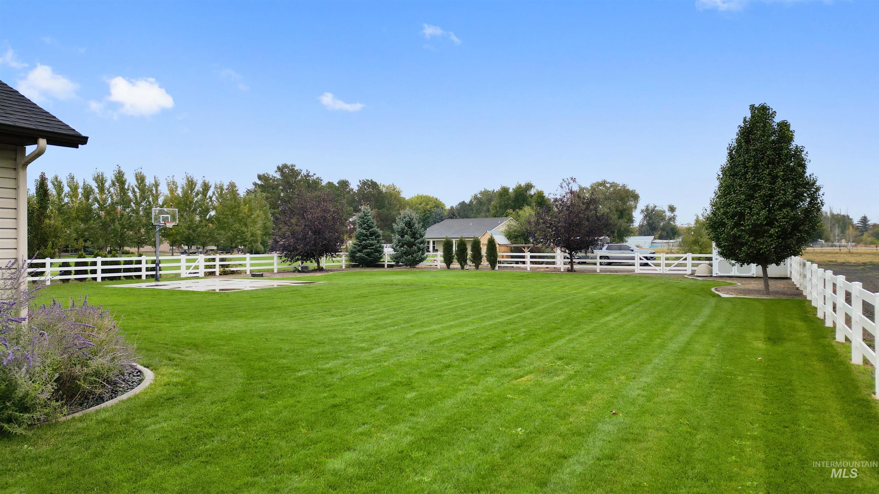 View of fenced backyard