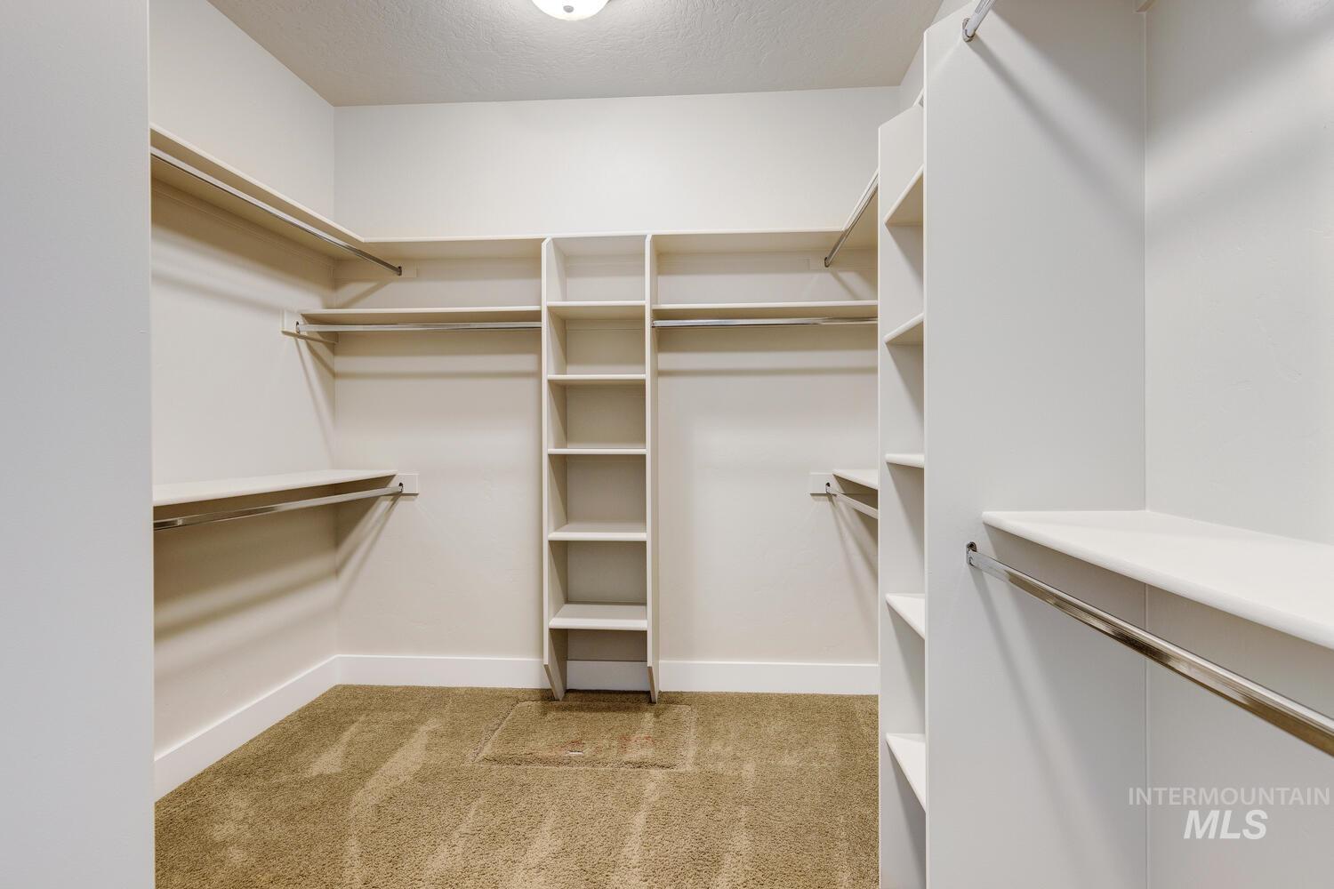 Walk in closet with light carpet