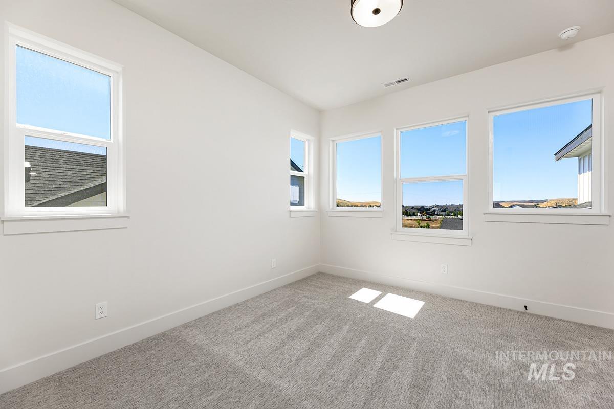 Carpeted empty room featuring healthy amount of natural light