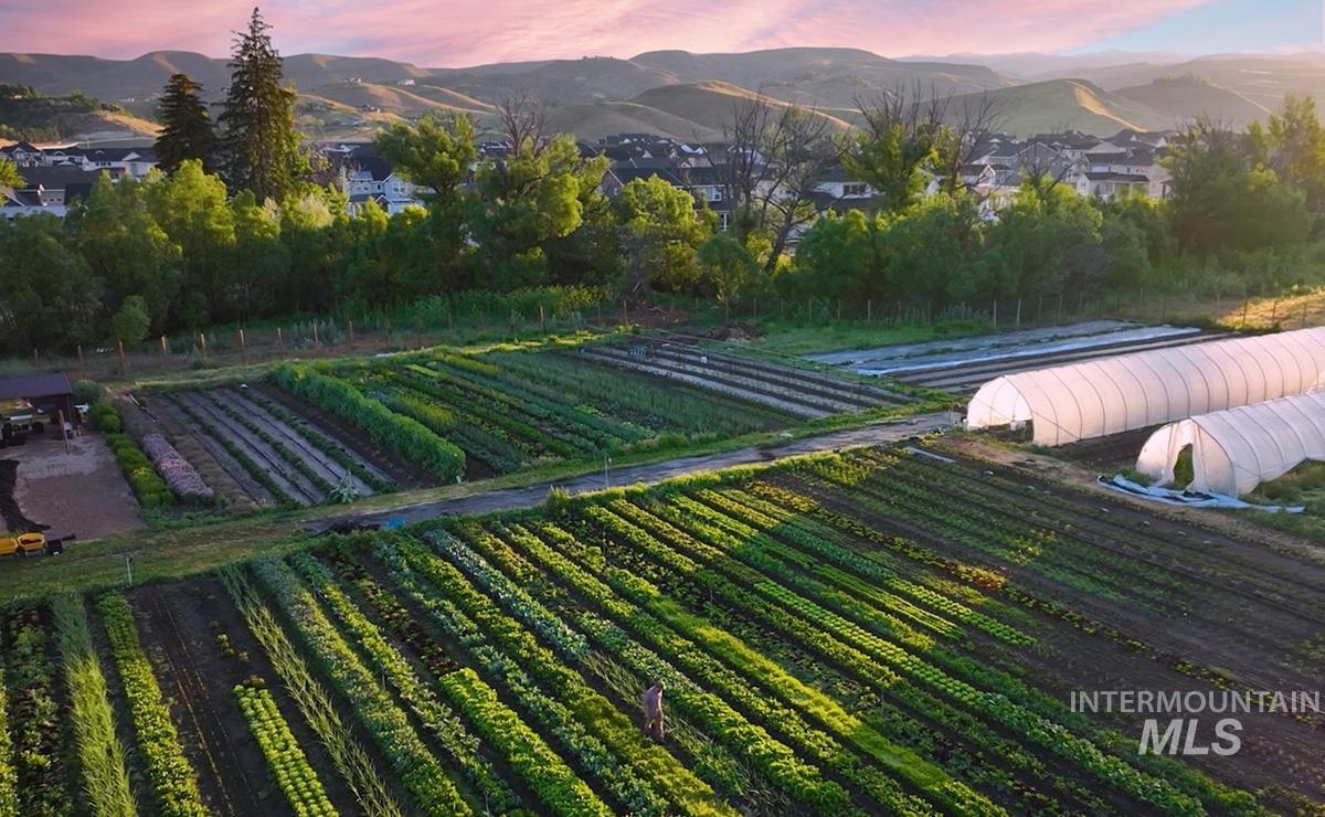 Yard at dusk with agricultural plots, a mountain view, and a view of rural / pastoral area