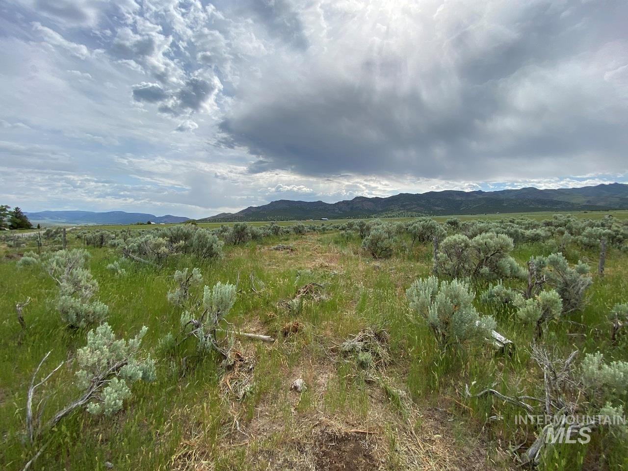 1977 S Elba Almo Road, Elba, Idaho 83342-0000, Land For Sale, Price $79,900, 98970913