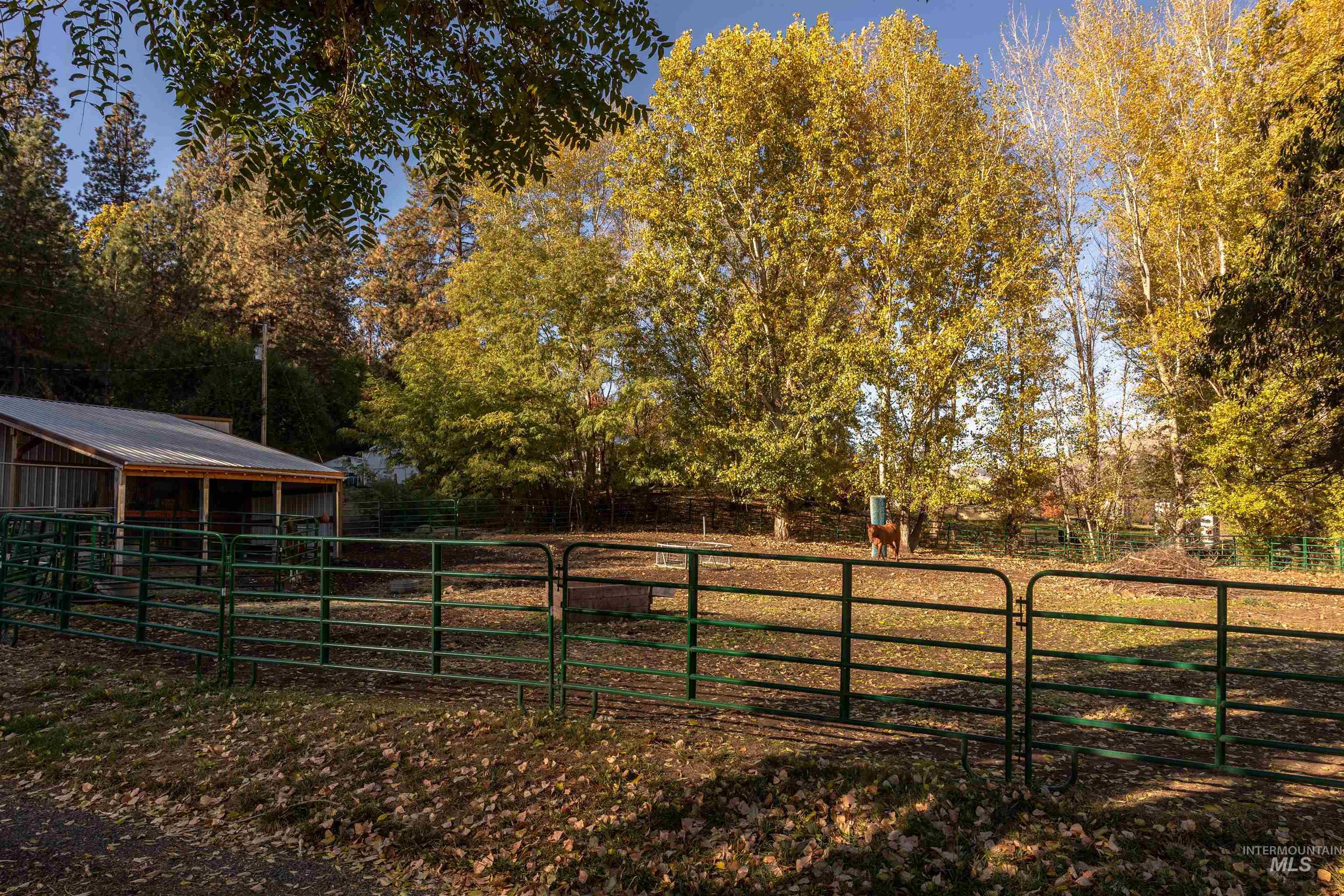 View of yard with an outbuilding, an exterior structure, and view of wooded area