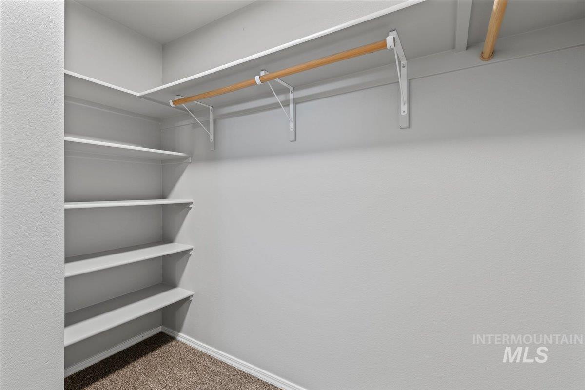 Walk in closet with carpet flooring