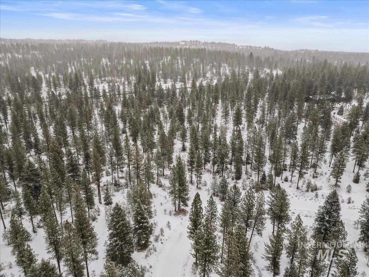 2753 W Pine Drive, New Meadows, Idaho 83638, Land For Sale, Price $395,000, 98970944