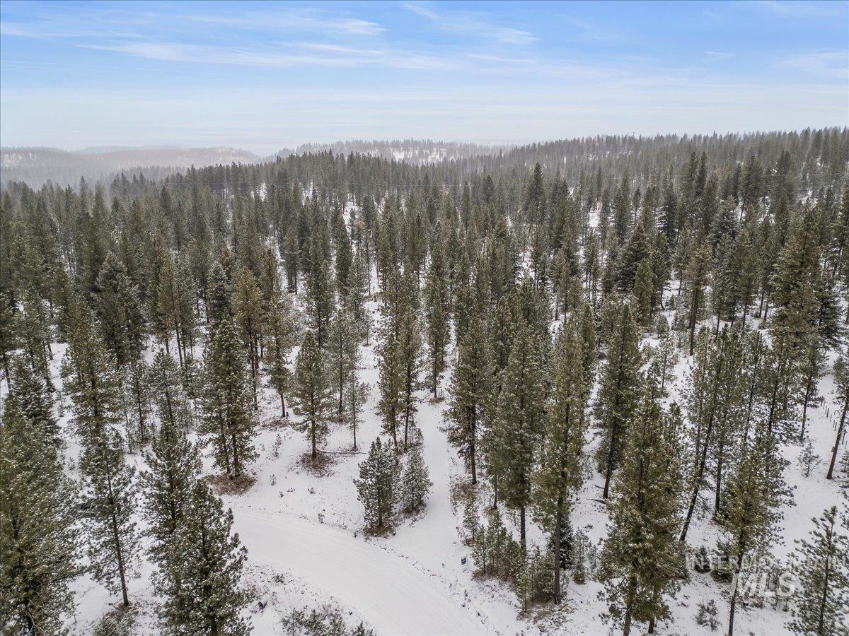 2753 W Pine Drive, New Meadows, Idaho 83638, Land For Sale, Price $395,000, 98970944
