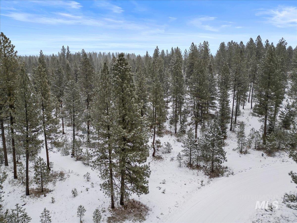 2753 W Pine Drive, New Meadows, Idaho 83638, Land For Sale, Price $395,000, 98970944