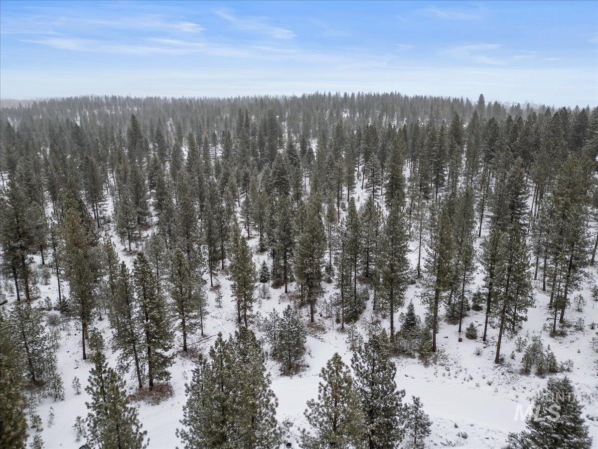 2753 W Pine Drive, New Meadows, Idaho 83638, Land For Sale, Price $395,000, 98970944