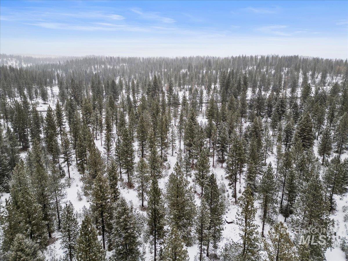 2753 W Pine Drive, New Meadows, Idaho 83638, Land For Sale, Price $395,000, 98970944