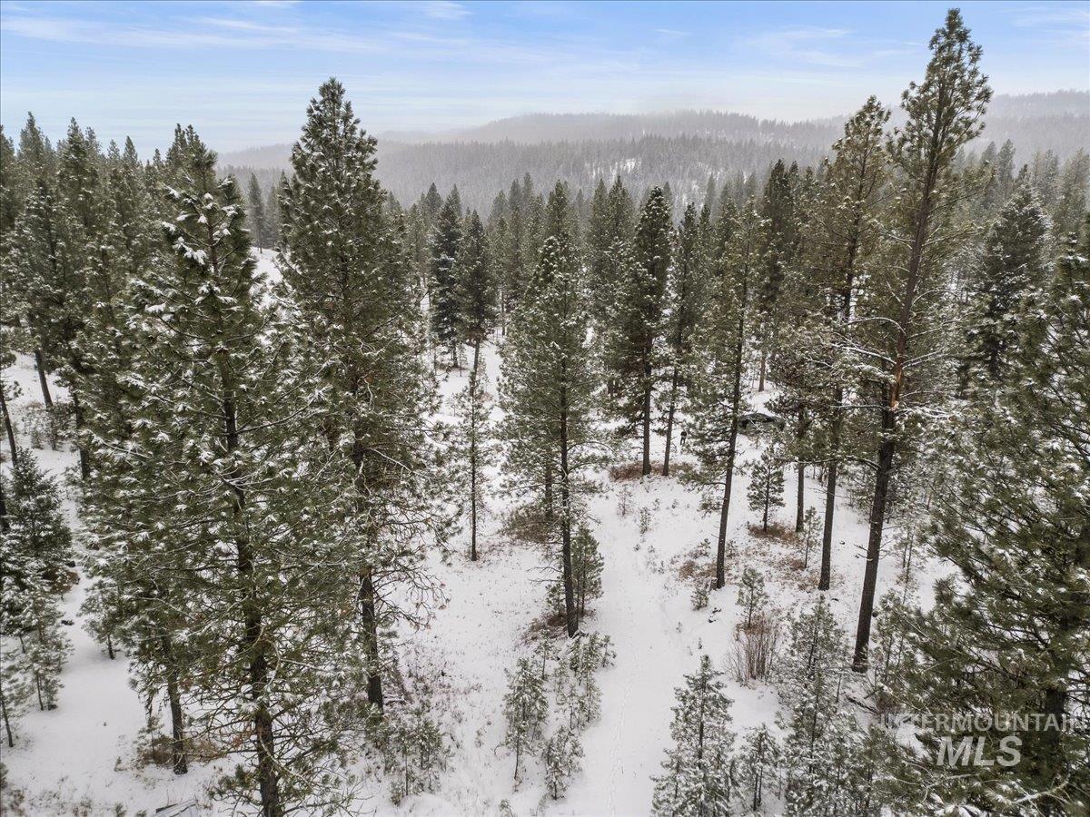 2753 W Pine Drive, New Meadows, Idaho 83638, Land For Sale, Price $395,000, 98970944