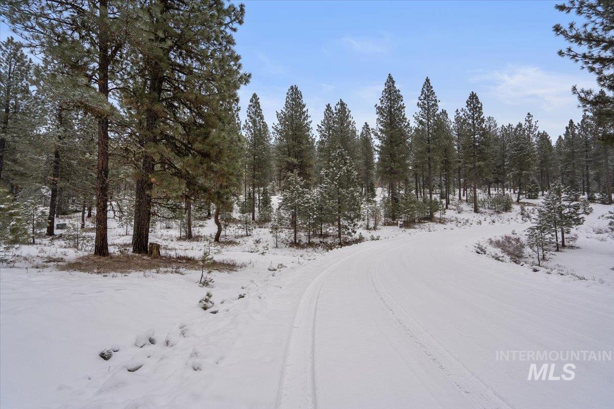 2753 W Pine Drive, New Meadows, Idaho 83638, Land For Sale, Price $395,000, 98970944