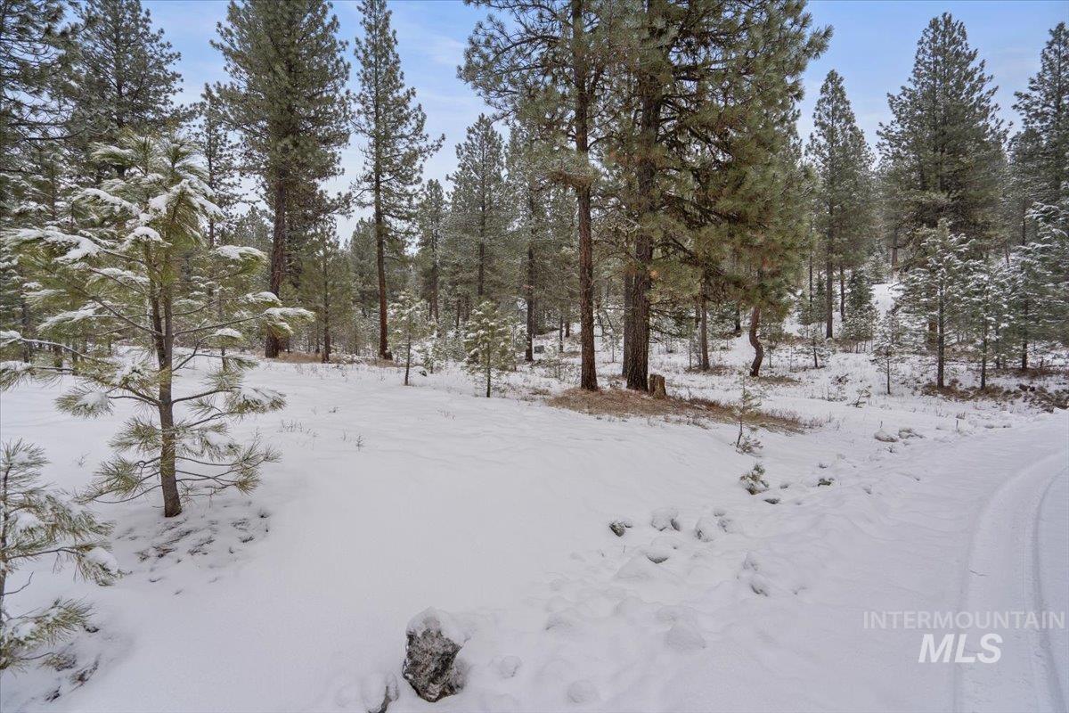 2753 W Pine Drive, New Meadows, Idaho 83638, Land For Sale, Price $395,000, 98970944