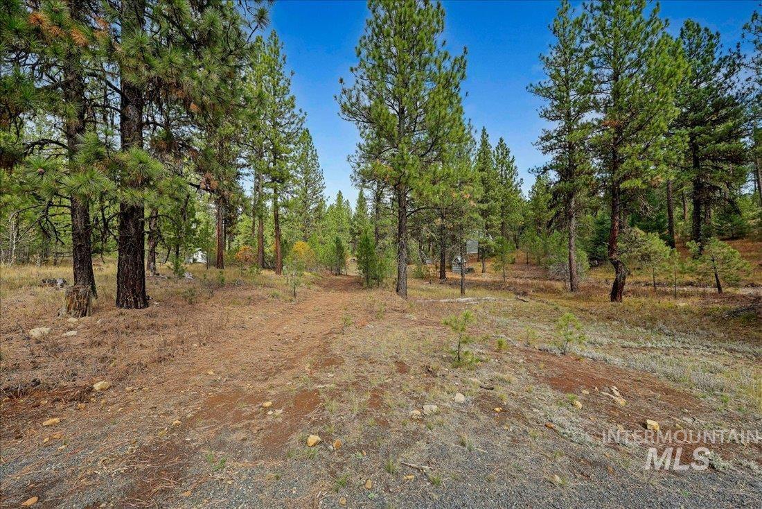 2753 W Pine Drive, New Meadows, Idaho 83638, Land For Sale, Price $395,000, 98970944