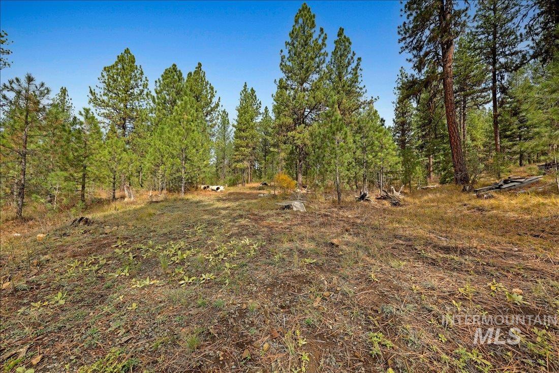 2753 W Pine Drive, New Meadows, Idaho 83638, Land For Sale, Price $395,000, 98970944