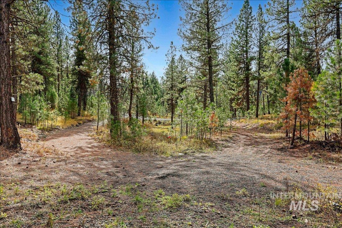 2753 W Pine Drive, New Meadows, Idaho 83638, Land For Sale, Price $395,000, 98970944