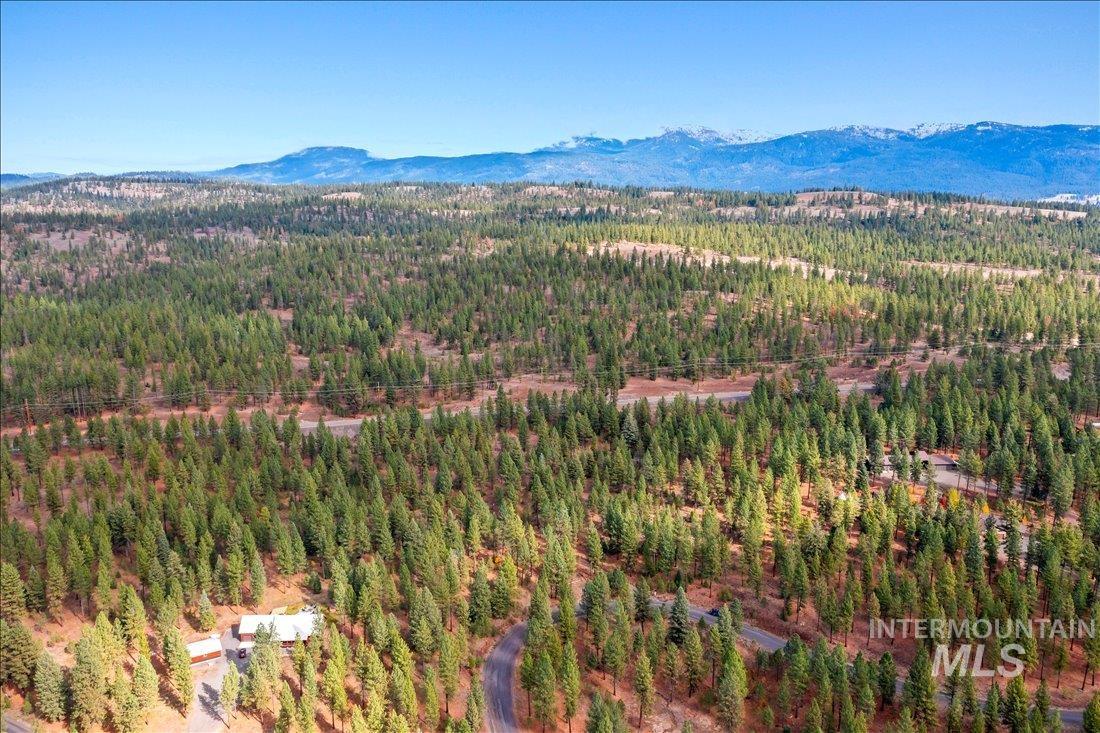 2753 W Pine Drive, New Meadows, Idaho 83638, Land For Sale, Price $395,000, 98970944
