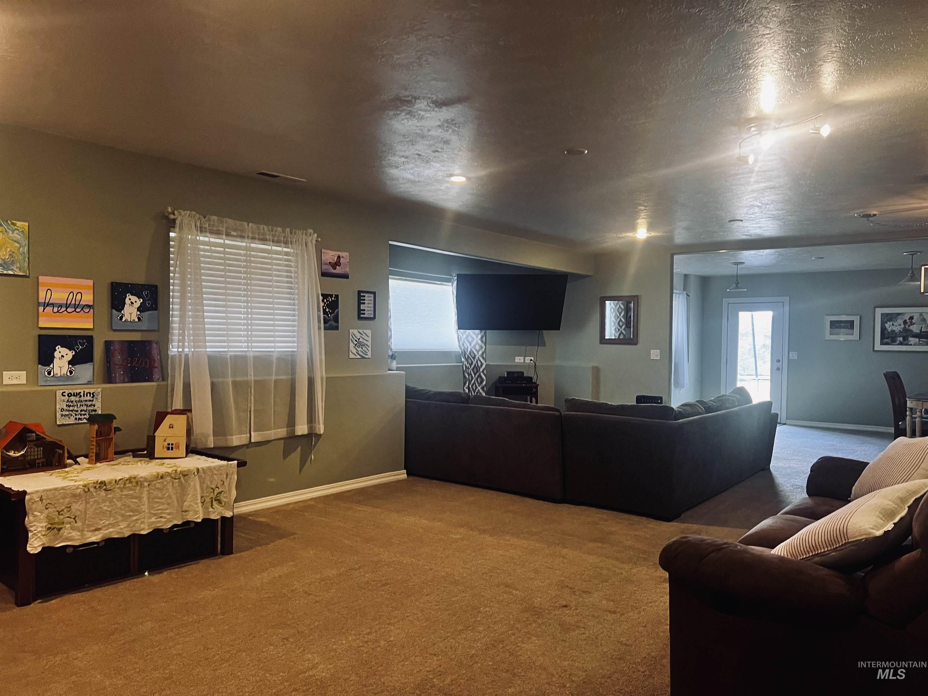 Living area featuring carpet, healthy amount of natural light, and a textured ceiling