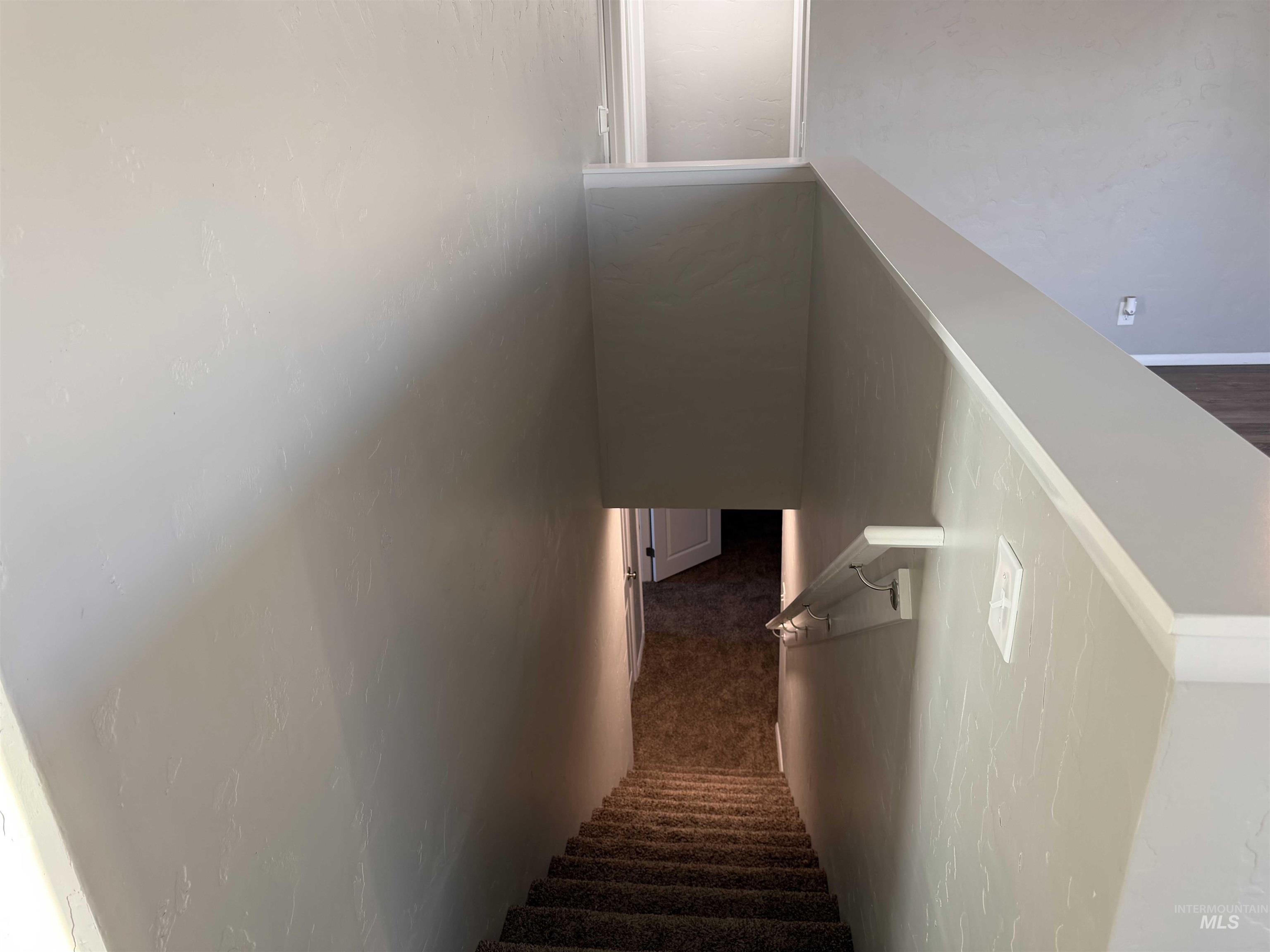 Stairway with carpet