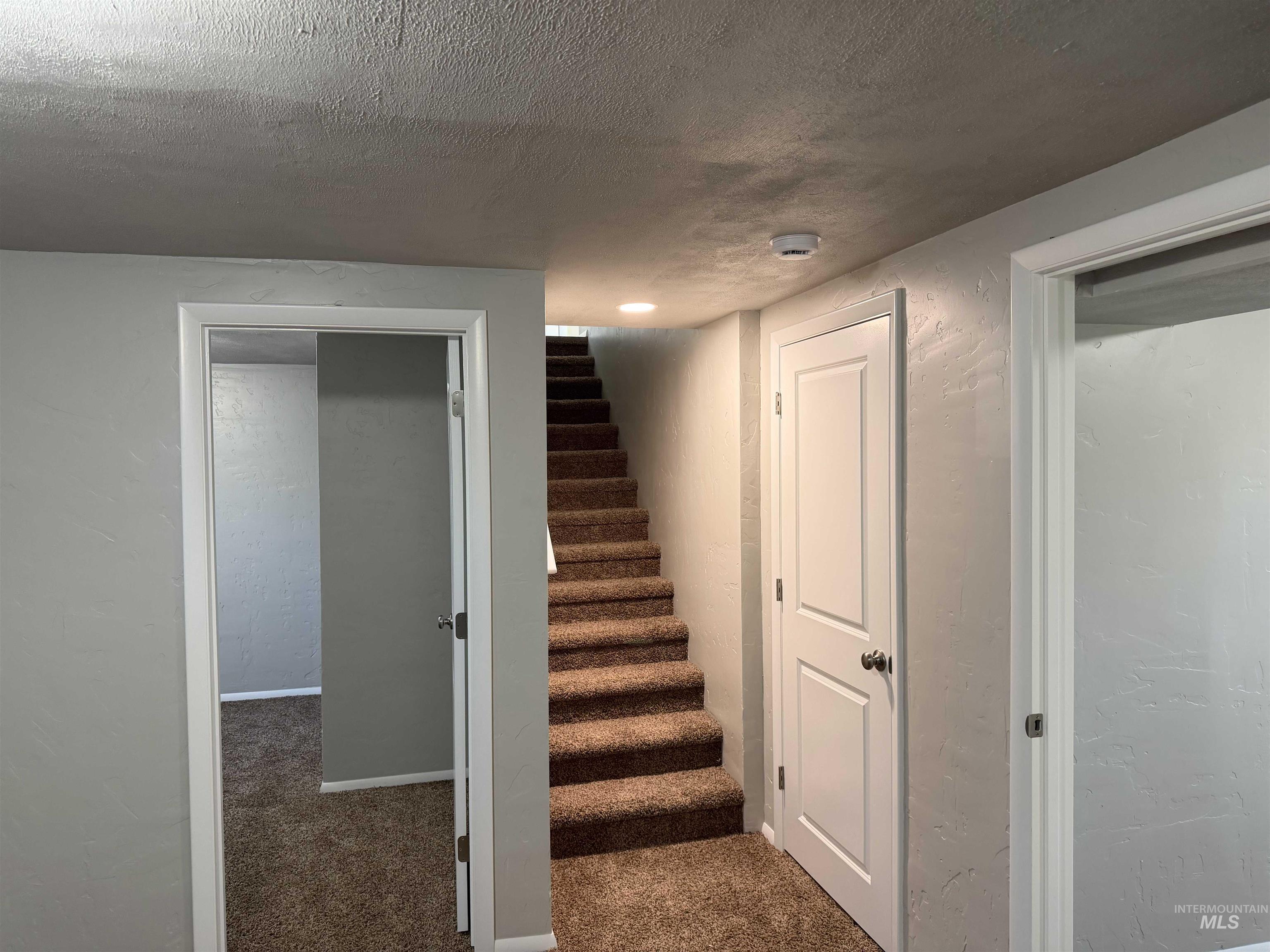 Staircase with a textured ceiling, carpet floors, and a textured wall